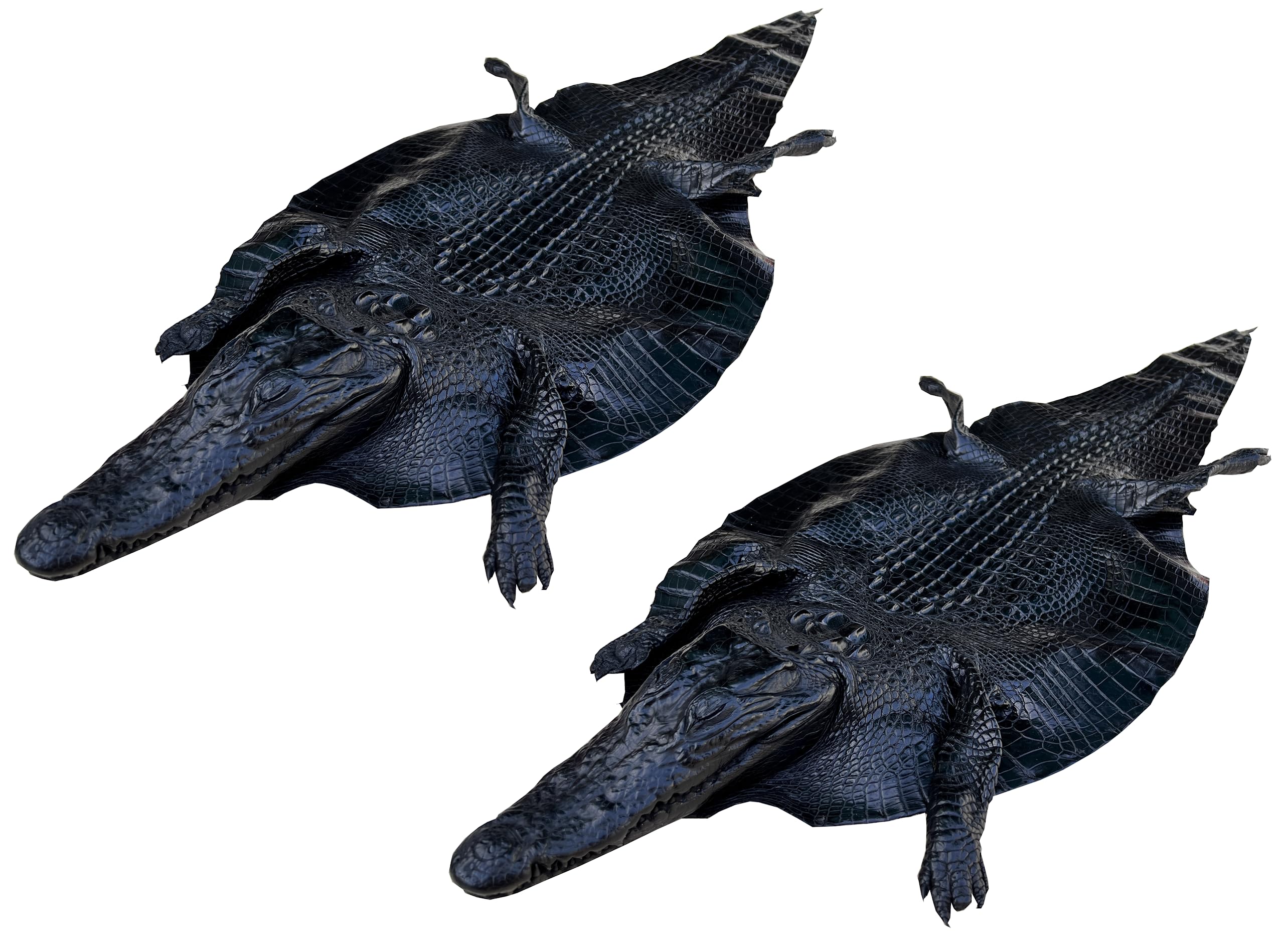 2 pcs Black Genuine Alligator Skin Leather 8" W Real Crocodile Leather Hide Natural Exotic Pelt Taxidermy Soft Leathercraft Handmade by Vietnamese