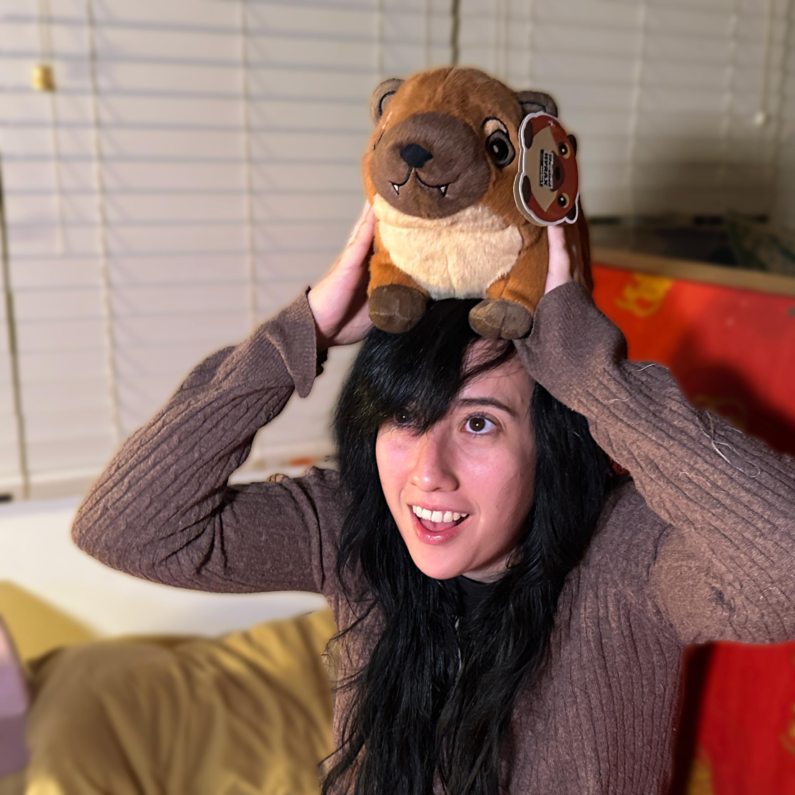 Thumbnail 5