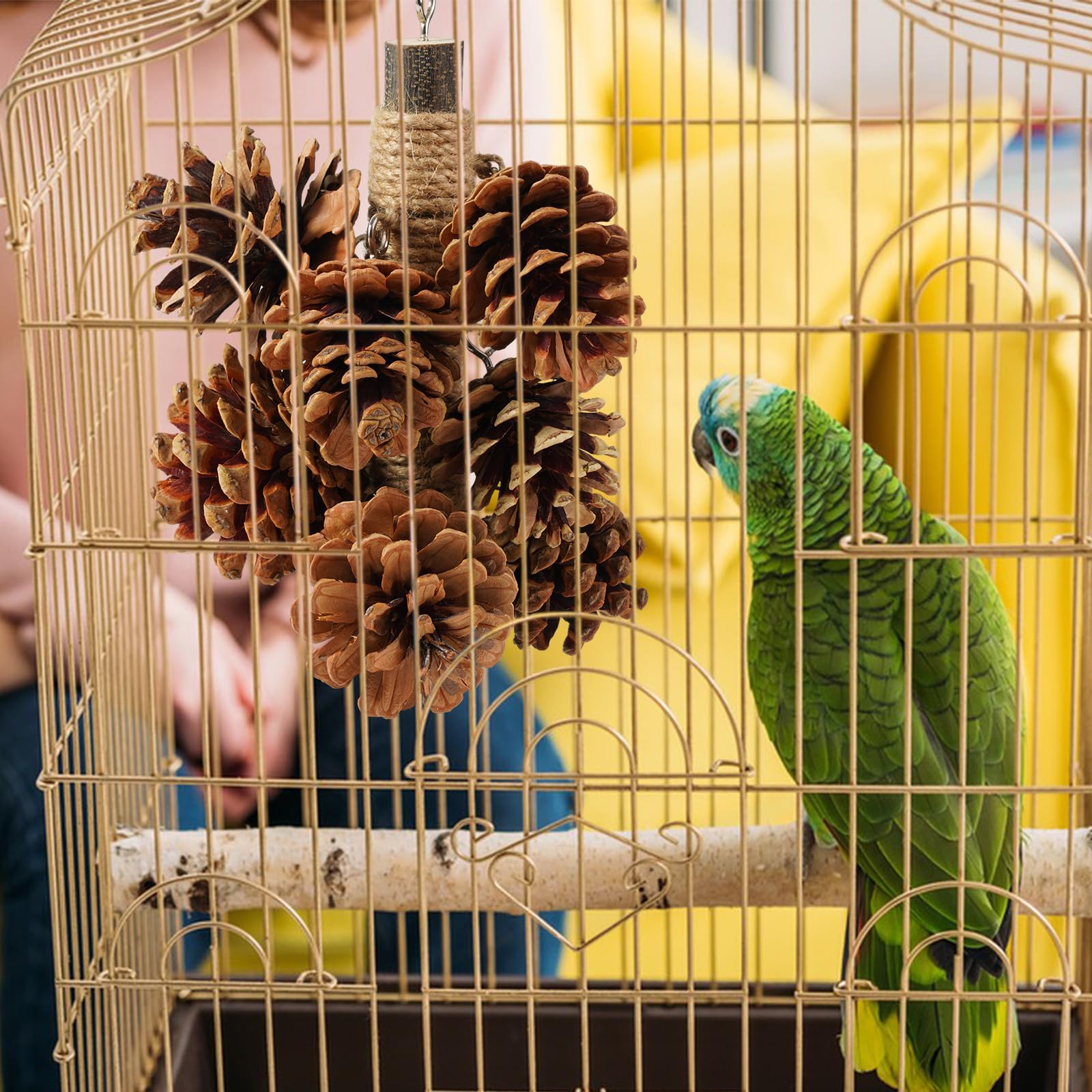Vogelspielzeug Mit 8 Echten Tannenzapfen – Natürliches Kaustäbchen Zum Aufhängen Für Sittiche, Wellensittiche & Papageien (20,3 Cm)