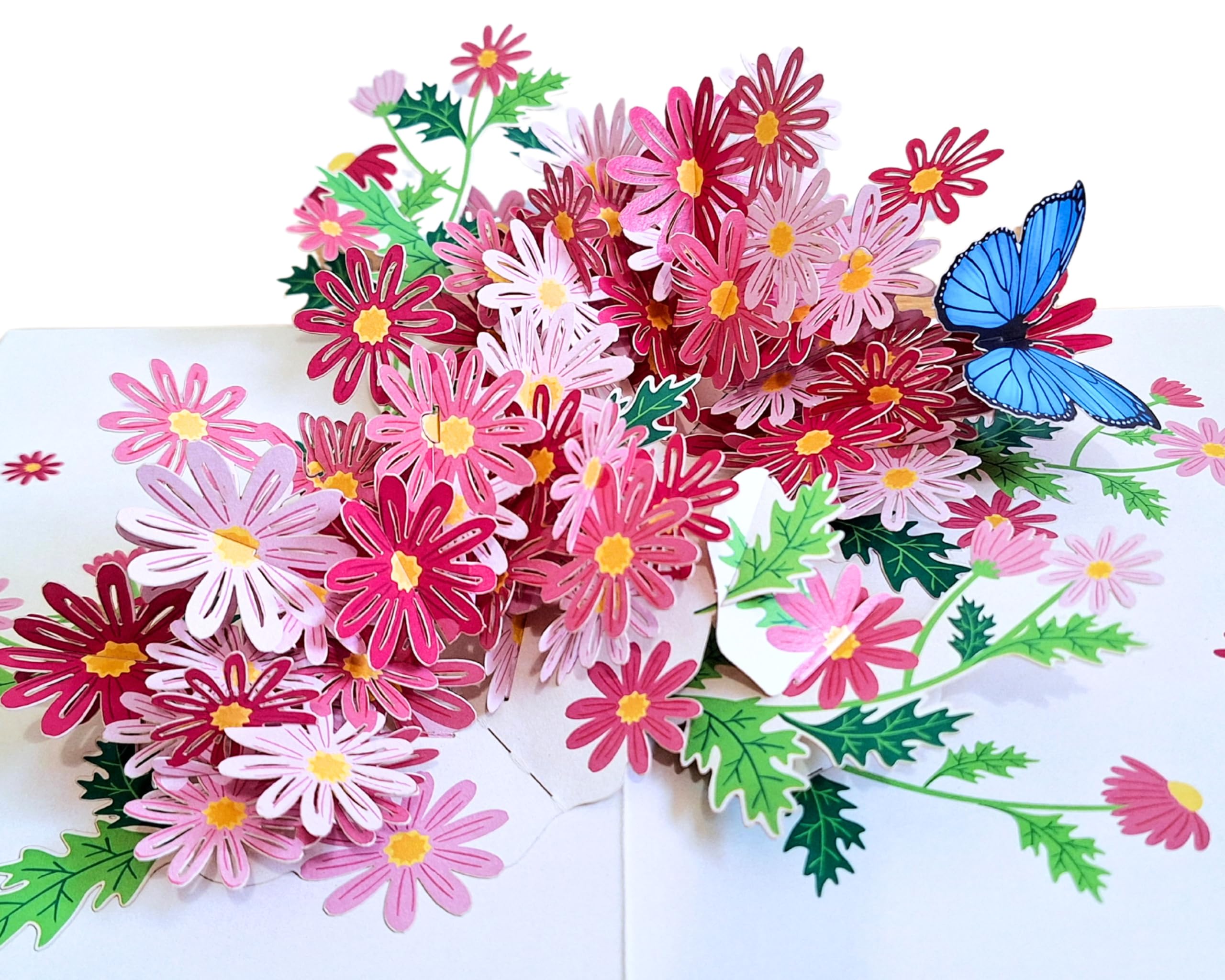 Card Mavens Marguerite Daisy Flower Pop Up Birthday Card for Women Mum Mother's Day Fiancee Wife Girlfriend Sister Thank You Good luck Luxury Card for Her Valentines Sympathy Get Well Soon โ image 1