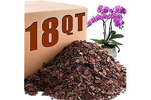 Orchid Potting Bark: The All-Natural Solution for Thriving Orchids