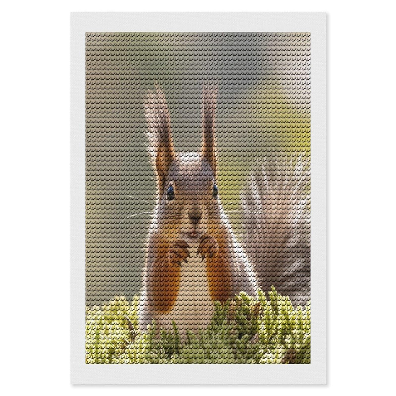 FekiLoot Squirrel Funny Animal Diamond Painting Kits for Adults Full Round Drill Diamond Art Kits for Beginners 5D DIY Diamond Dots Paintings Diamonds Pictures Gem Art Home Wall Decor 8"x12"