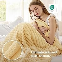 Vista 436 de Bedsure GentleSoft Twin Blanket for Couch - Cozy Soft Blankets for Women, Cute Small Fleece Throws for Girls, Light Grey, 60x80 Inches