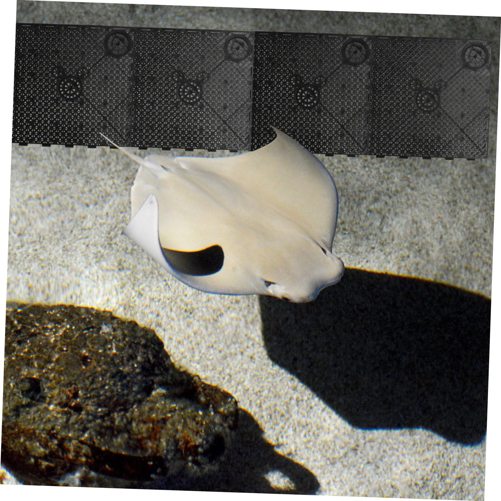 UKCOCO 20stücke Bodenfilterplatte Für Aquarium PVC-filterplatte Spleißkombination Leicht Untertauchbar Gute Wasserzirkulation Zubehör Für Große Fische Wie Drachenfisch Und Seefisch