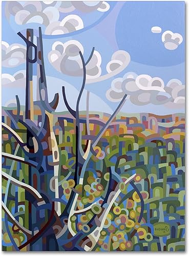 Hockley Valley por Mandy Budan - Lienzo decorativo para pared, 14 x 19 pulgadas