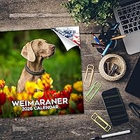 Vista 100 de Razas de Perros 2017