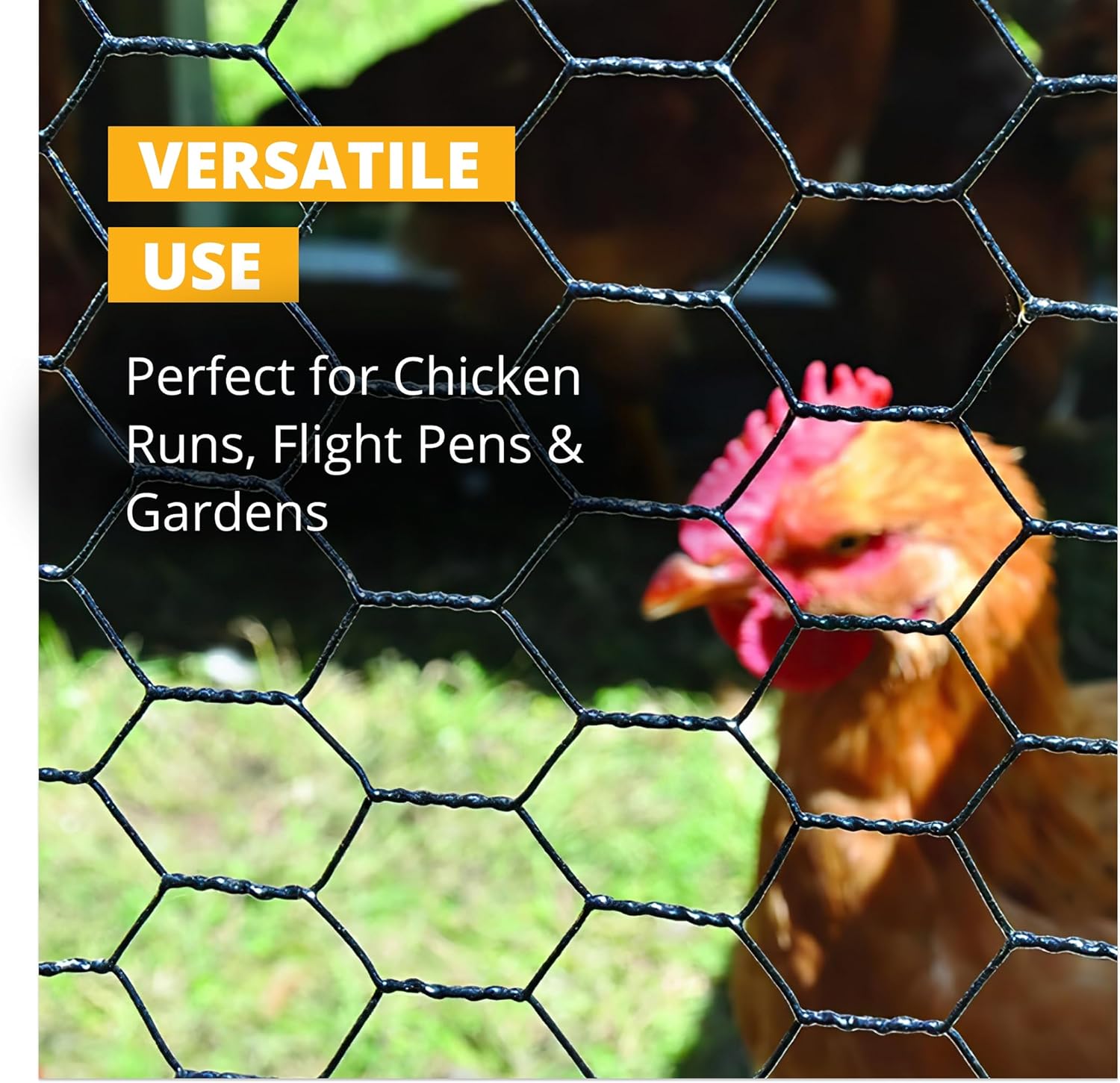 Stromberg’s PVC-Coated Galvanized Wire Fencing, 1-Inch Hex Mesh, Weatherproof, Long-Lasting & Durable for Outdoor Use, Ideal for Poultry Runs and Flight Pens, 2' x 100' Roll