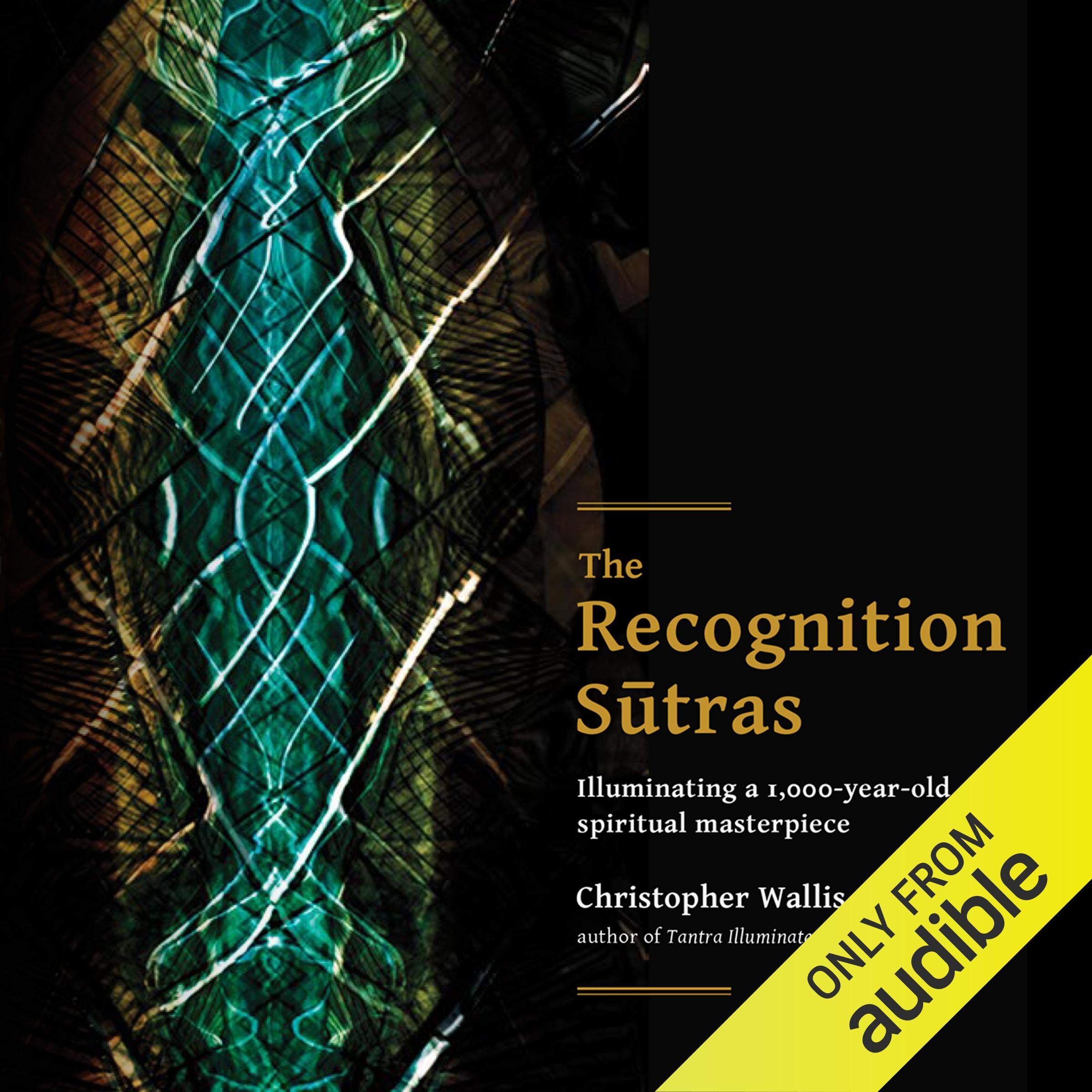 Cover art for The Recognition Sutras
