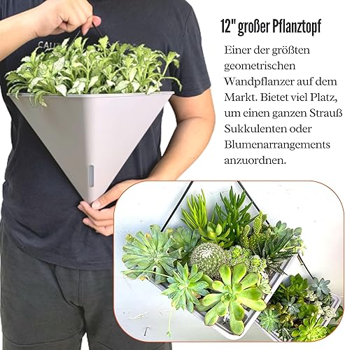 Miniatura 4 de LaLaGreen - Macetas de pared para suculentas, paquete de 2, macetas grandes de 12 pulgadas para colgar en la pared de plantas de interior, color