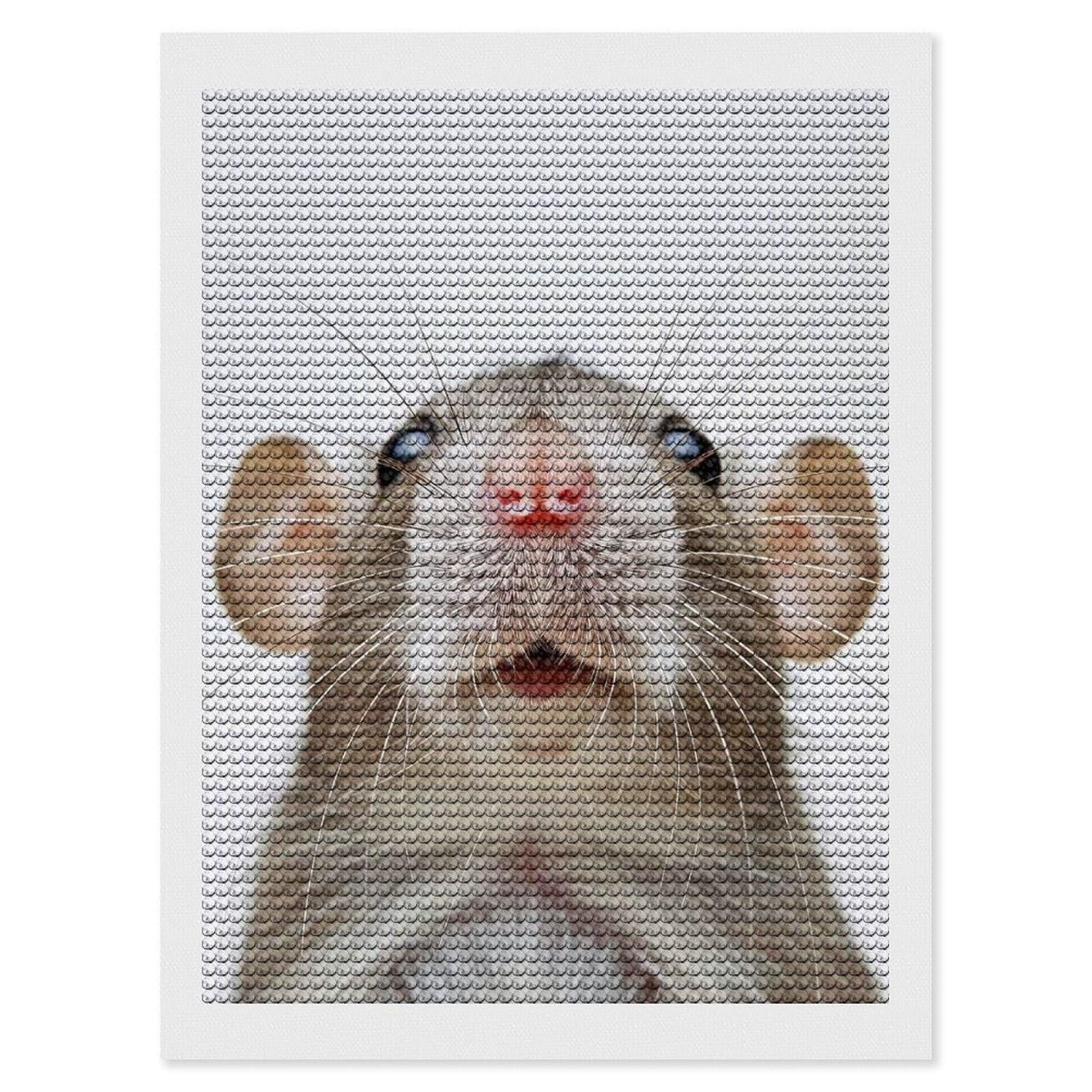 Junmoney Rat Face DIY Diamond Art Canvas Kit 12"x16", Winter Craft, Mindful Craft Project, Aesthetic Room Decor, Decor Project