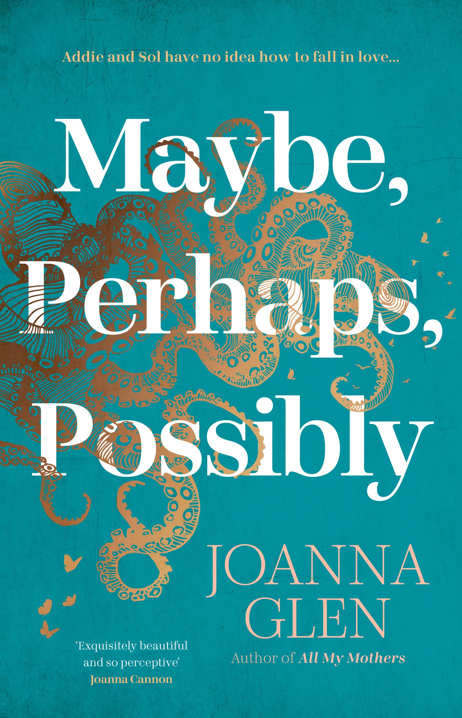 Maybe, Perhaps, Possibly: The perfect must-read new romance of the summer from the Costa Prize-shortlisted author of ALL MY MOTHERS