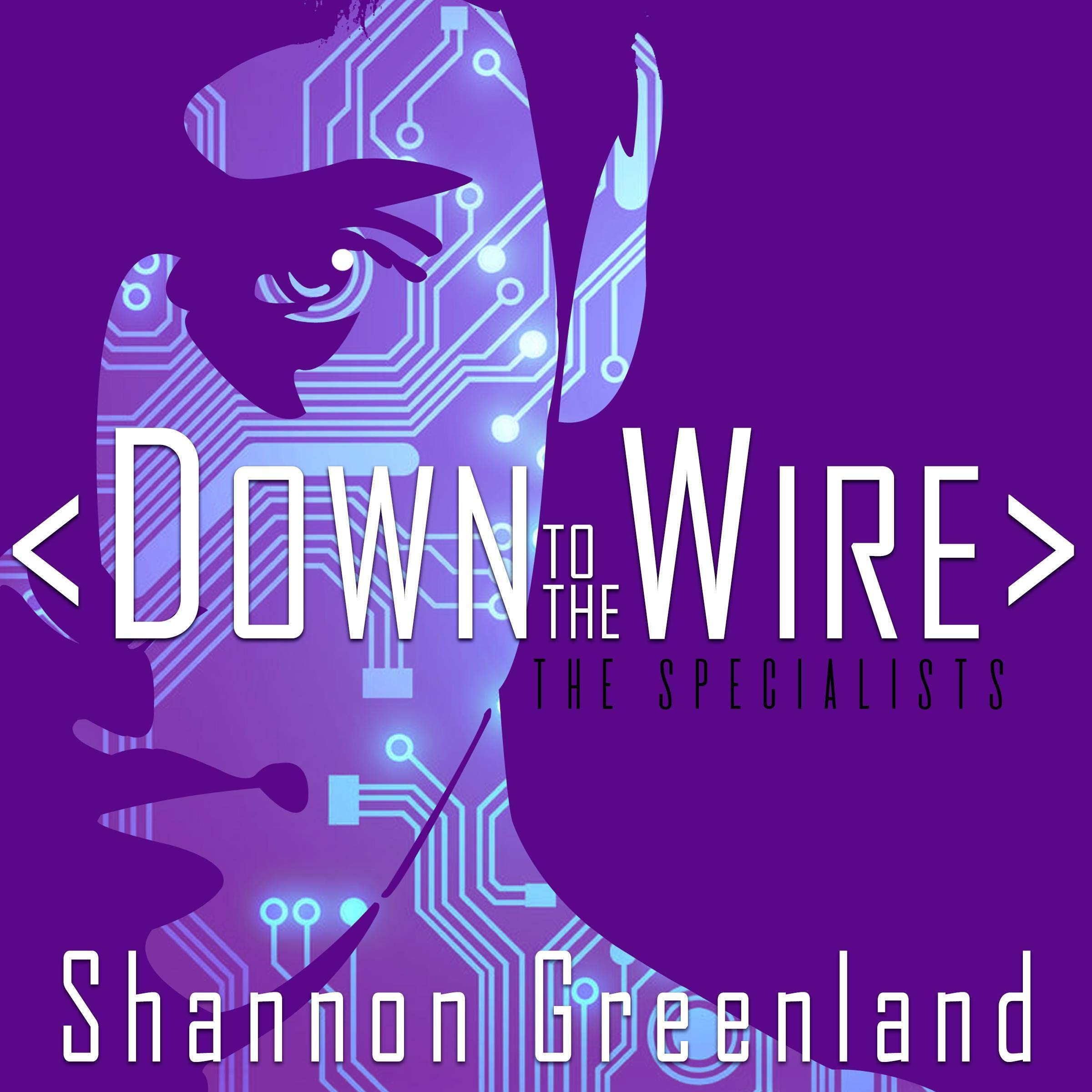 Cover art for Down to the Wire: A Teen Spy Thriller