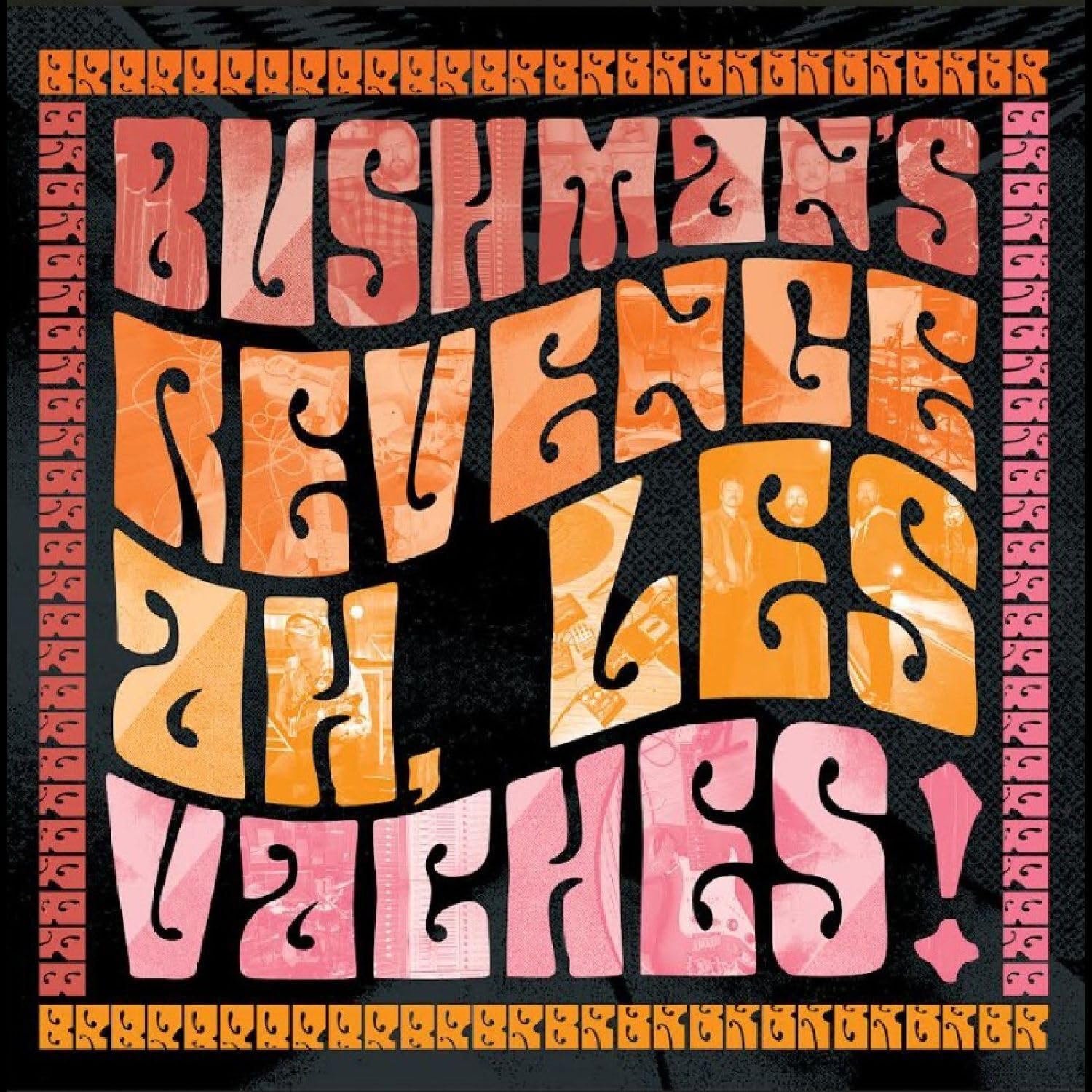Bushman's Revenge Ah, Les Vaches (orange Vinyl) LP New 7073317004200