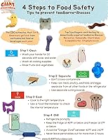 Vista 6 de GIANTmicrobes E. Coli Plush, Microbiology Gifts, Gastroenterologist Gift, Gastroenterology Gifts, Gut Microbiome, Medical Laboratory Scientists