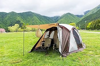 雀蜂の巣 スズメバチ ガラスケース　ハチの巣 オルゴール付きの木箱 スズメバチの巣の標本 ガラスケース入り - メルカリ