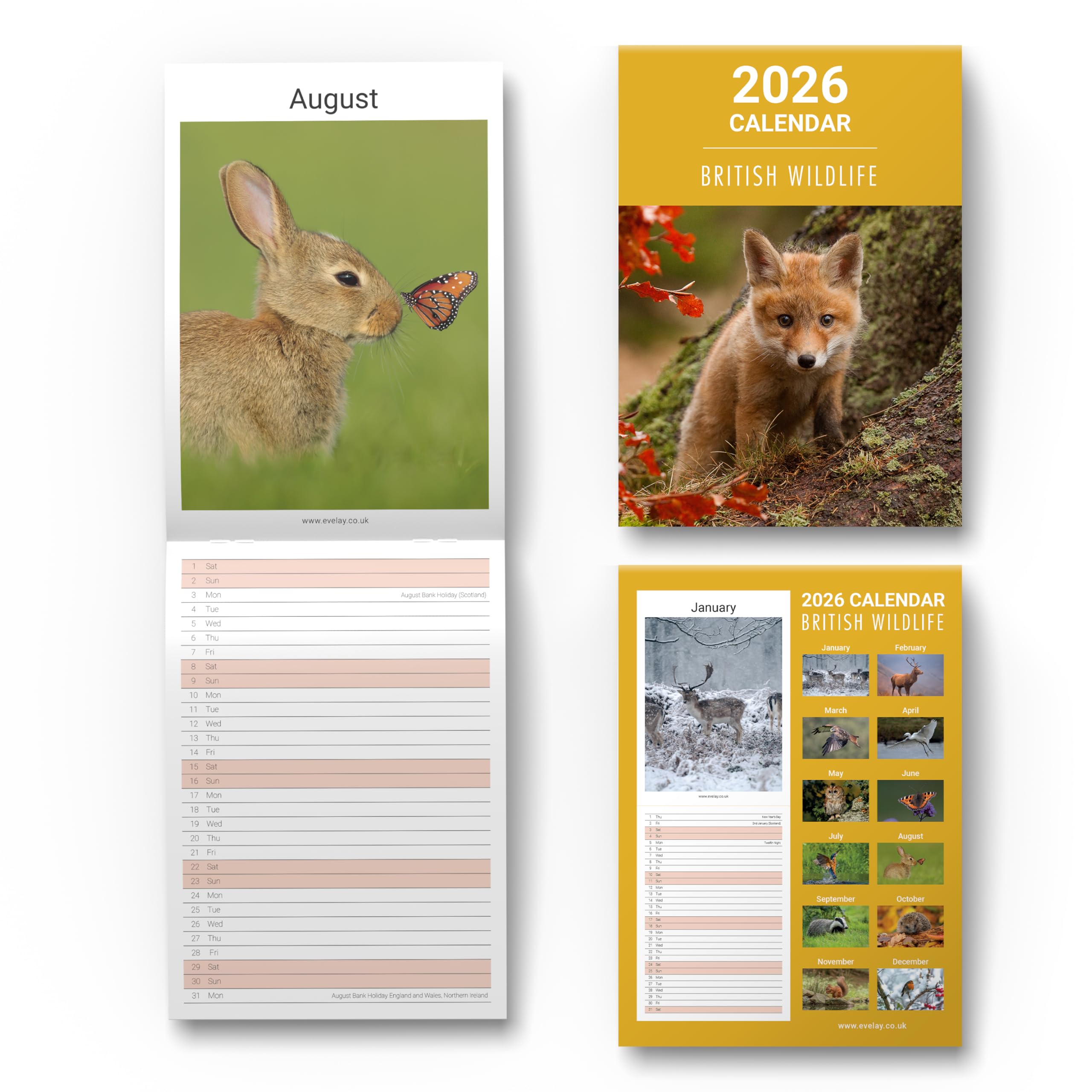evelay 2026 British Wildlife Wall Calendar Slim Month to View Family Planner Organiser with UK Holidays (British Wildlife)