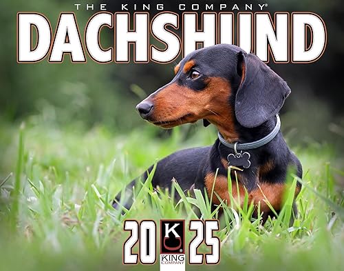 The KING Company-Monster Calendario de pared 2025 de 16 meses, tamaño XL, 14 x 22 pulgadas, el mejor calendario de perro salchicha por The KING