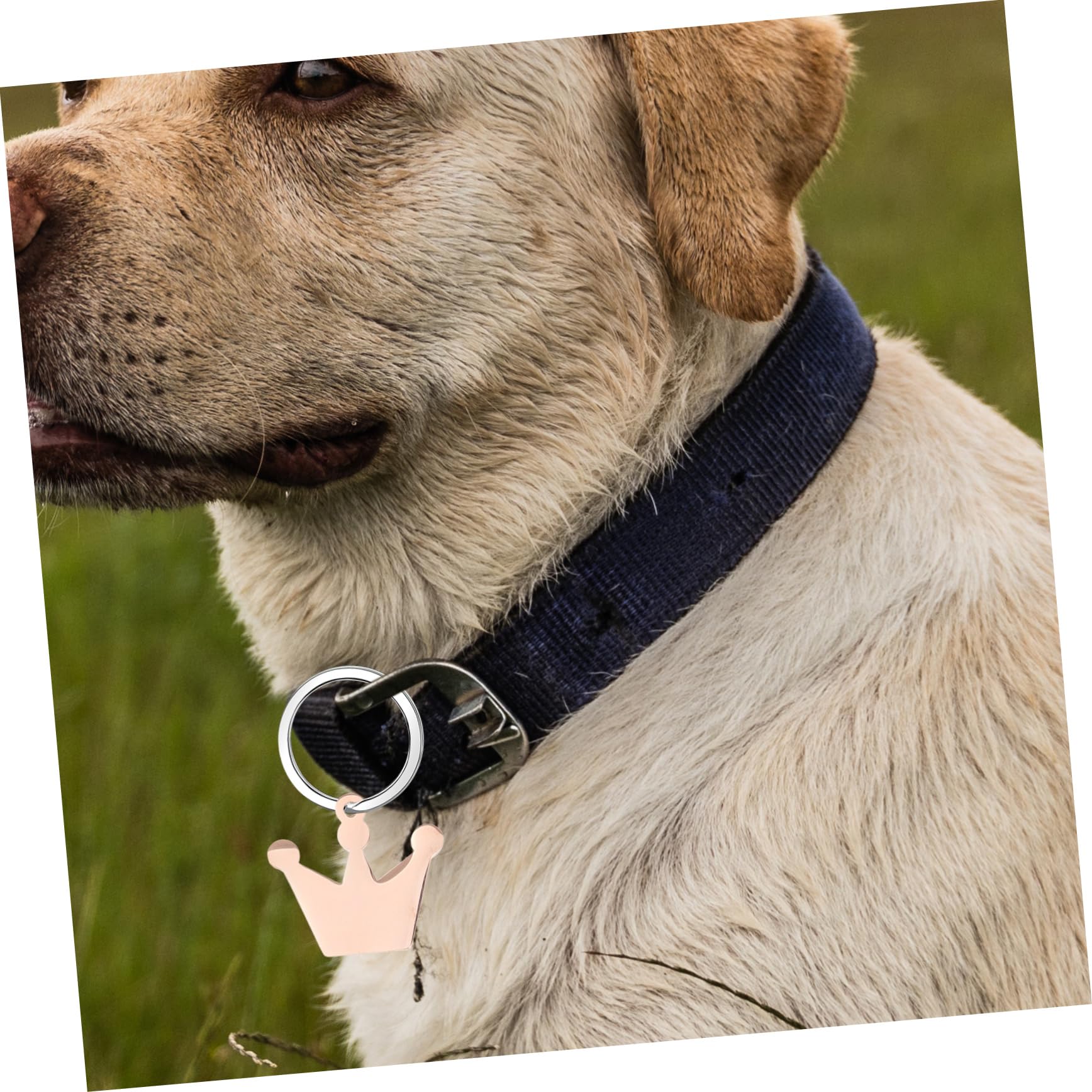 SHINEOFI Pendentif Couronne Breloques D'étiquettes De Chien Plaque D'identification Base De Bricolage Couronne Étiquettes Pour Chiens Métal Rose Gold