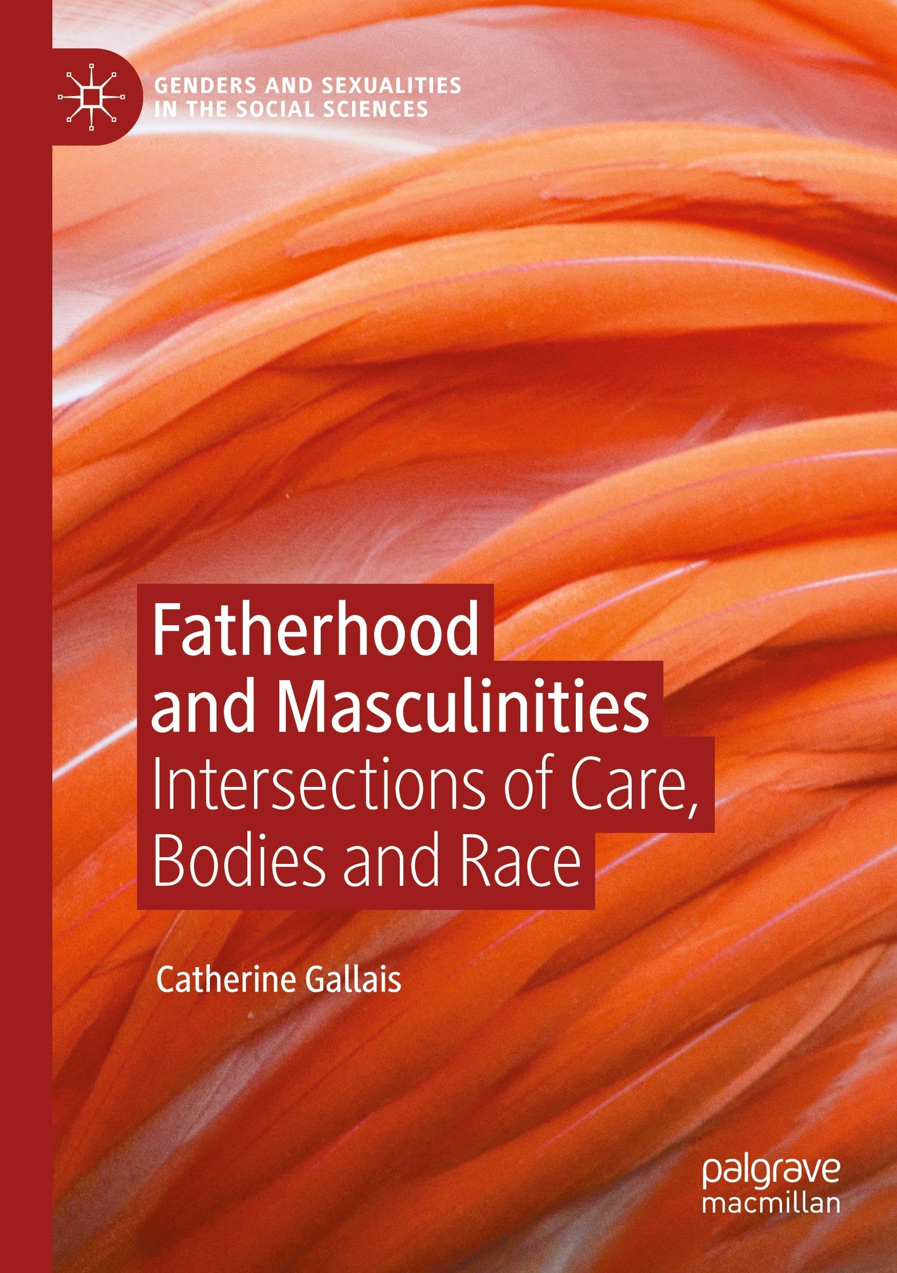 Fatherhood and Masculinities: Intersections of Care, Bodies and Race (Genders and Sexualities in the Social Sciences)