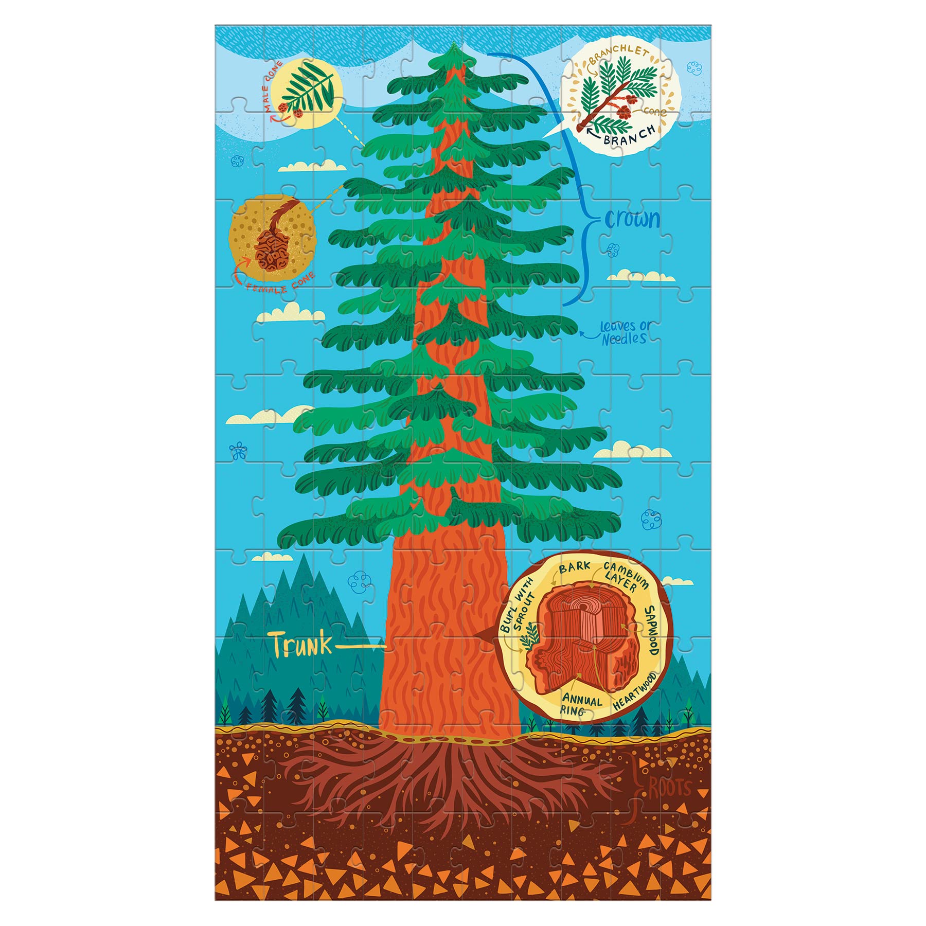 Plant Anatomy Science Puzzle Set from Mudpuppy - Includes Three 100 - Piece Puzzles with Colorful Illustrations, Ages 6+, Trifold Insert with Fun Science Facts Included - Image 3