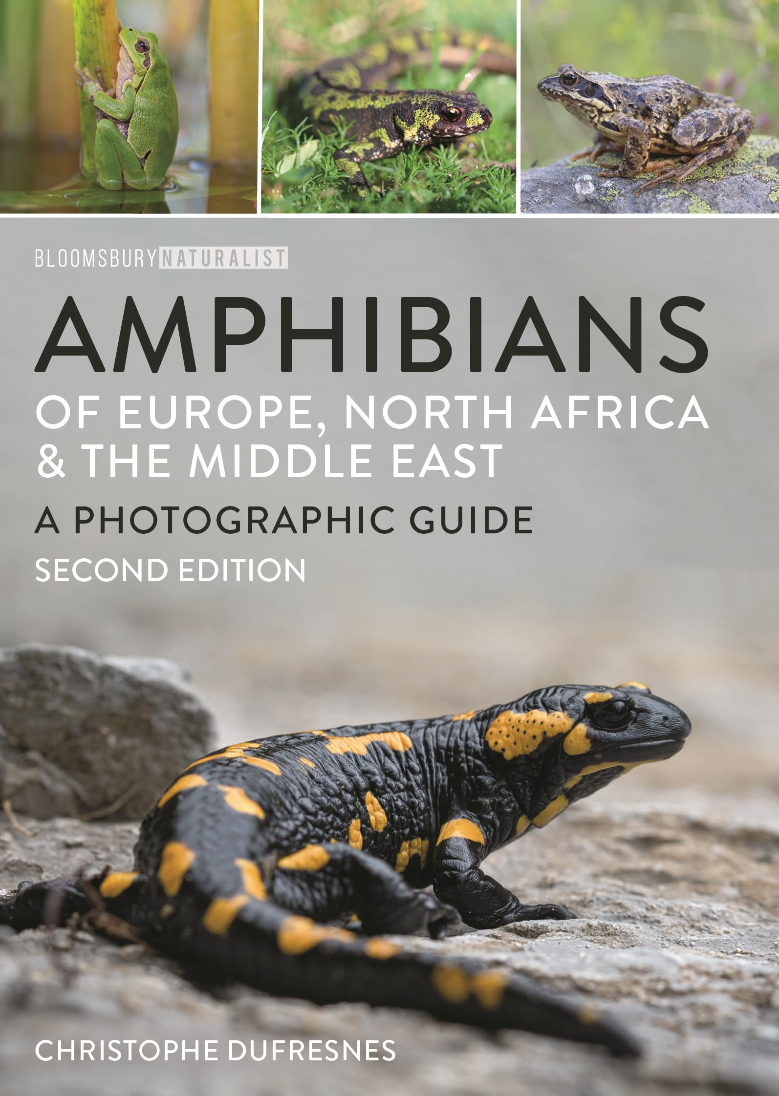Amphibians of Europe, North Africa and the Middle East: Second Edition (Bloomsbury Naturalist)