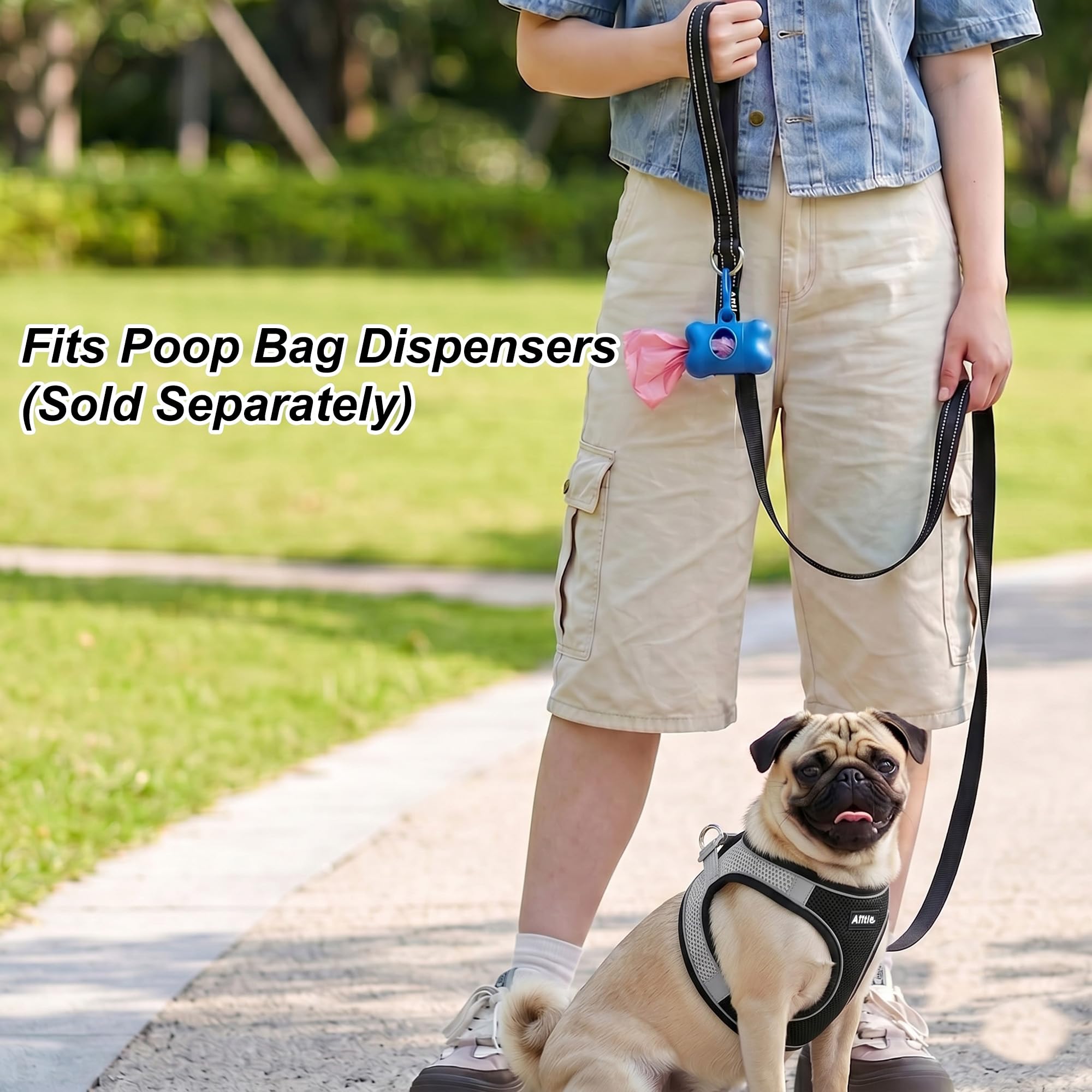 AIITLE Guinzaglio riflettente per cani piccoli/medi 5ft - Nero | nylon con impugnatura imbottita per passeggiate, addestramento e corsa, antistrappo per cuccioli e razze piccole/medie
