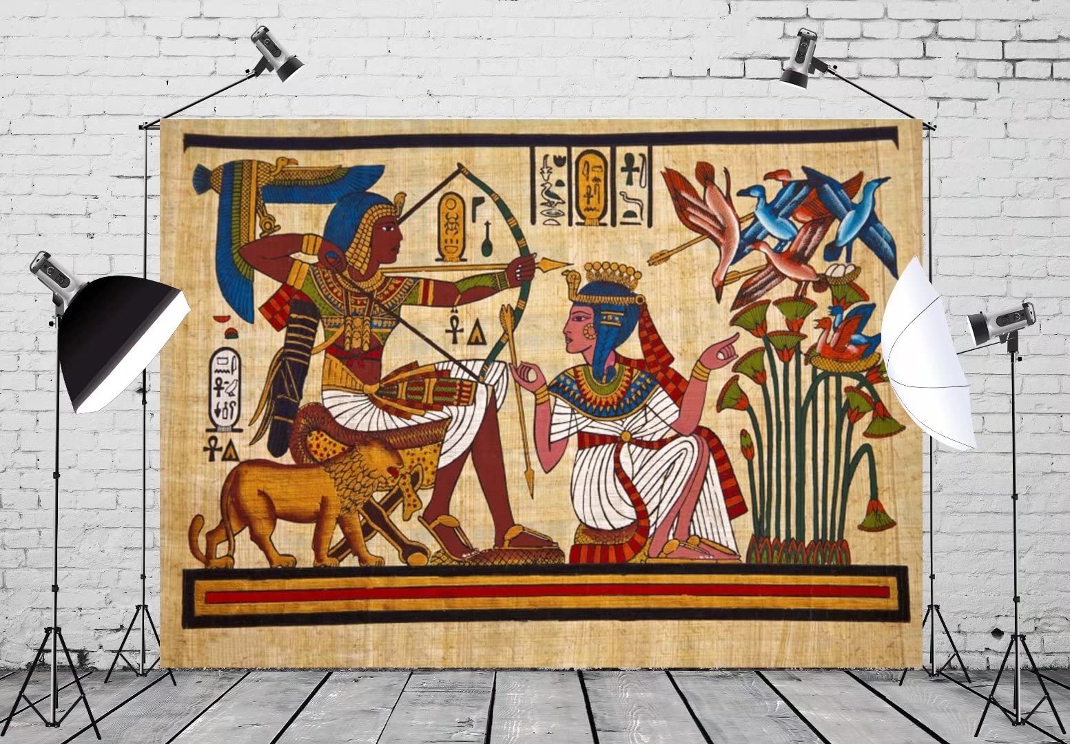 Buy 10x8ft Egypt Hieroglyphs Backdrop Ancient Egyptians Civilization Photography Background - View #2