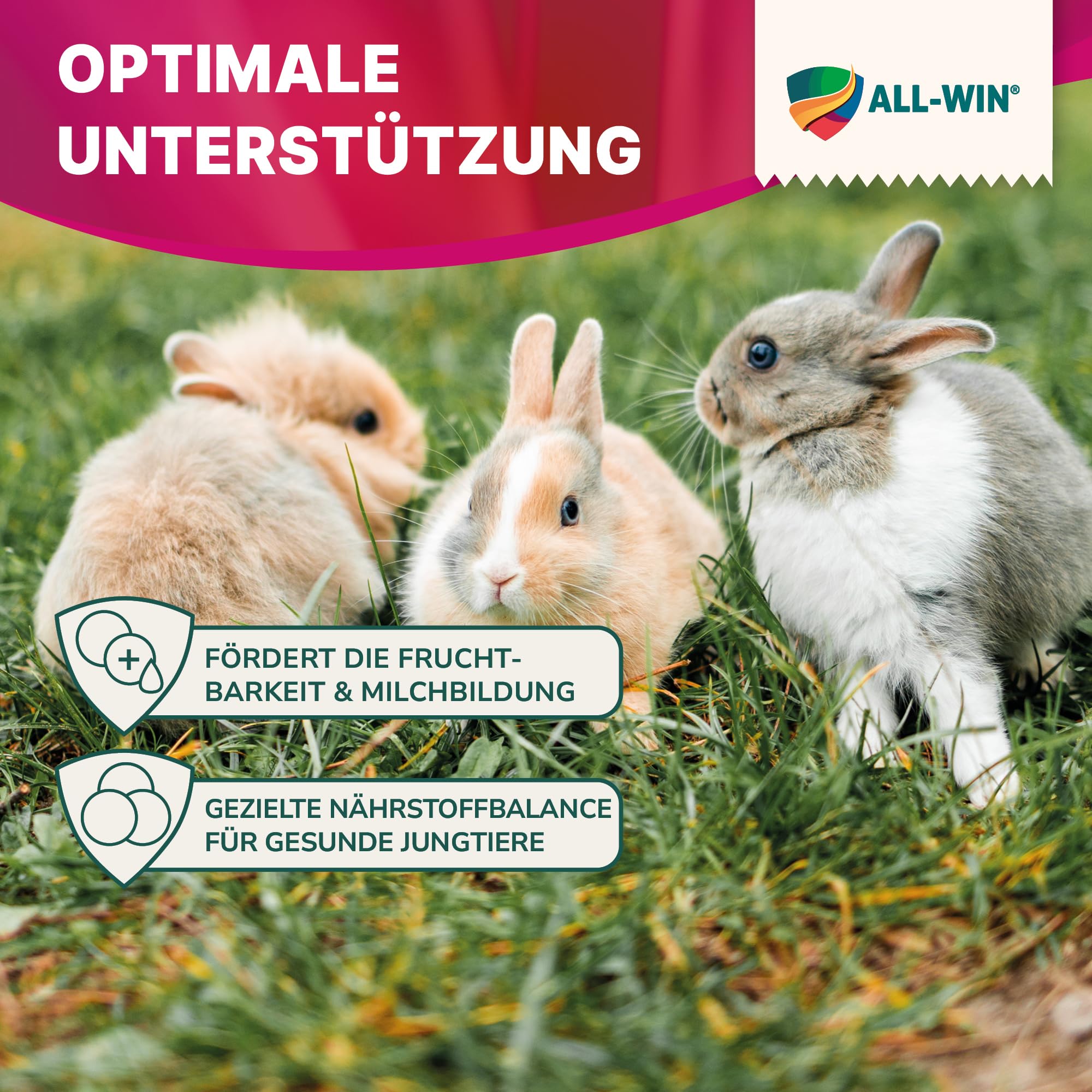 ALL-WIN AromKanin Kaninchenfutter für Zuchttiere 25 kg | Unterstützt Fruchtbarkeit, Milchleistung & Vitalität | Mit Kräutern, Vitaminen & Mineralstoffen | Hoher Energie- & Proteingehalt