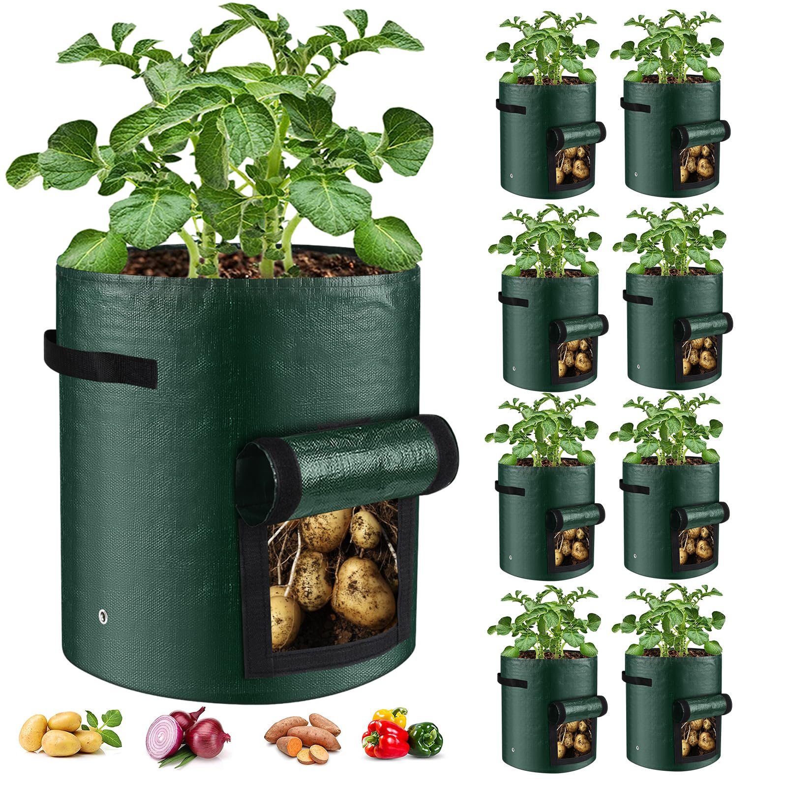 best grow bags for tomatoes