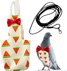 Pássaros Pombo Fralda Peitoral e Trela, Fraldas de Pássaros para Pombos e Arnês de Trela, Fraldas para Pássaros, Papagaio, Fraldas de Periquito, Calças de Pombo, Roupas de Papagaio para Pássaros (GG