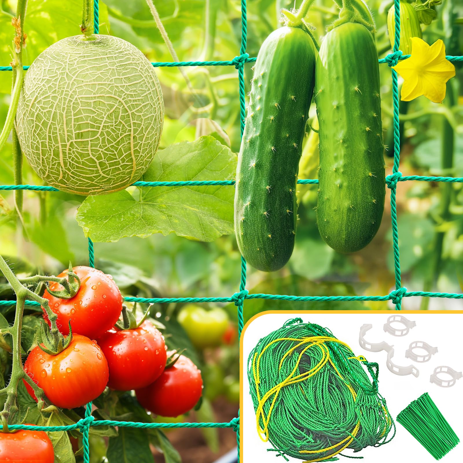 Accessoire Potager Plastique 200 Clips De Support Pour Plantes Jardin - Attaches Tomates, Vignes Et Plantes Grimpantes - Blanc Ganci Per Pomodori