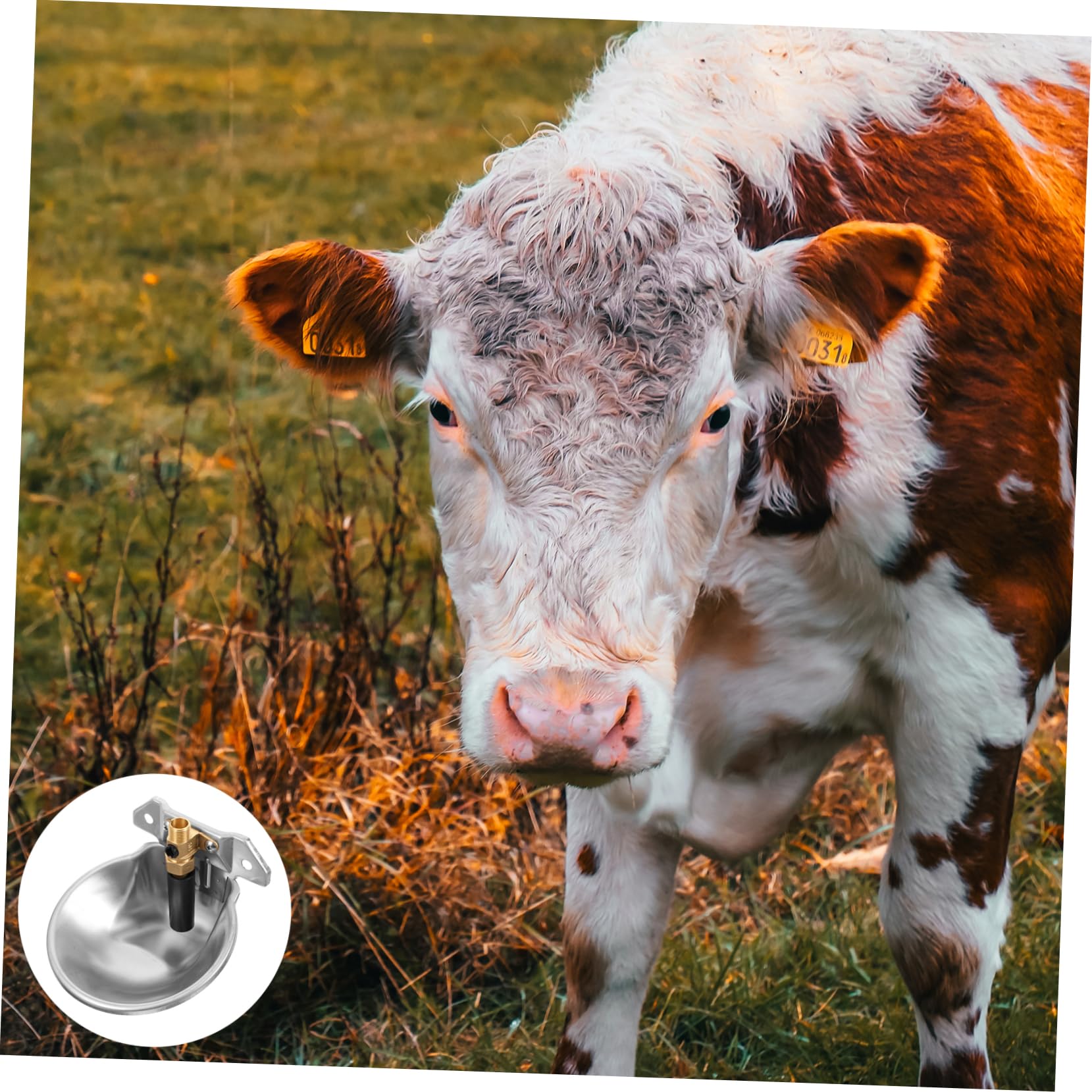Abbeveratoio Argento Inox per Bestiame Automatico in Acciaio | Uso Bordo Arrotondato Grande Capacità per Superficie Liscia e Fattoria e Farmhouse Galline e Pecore