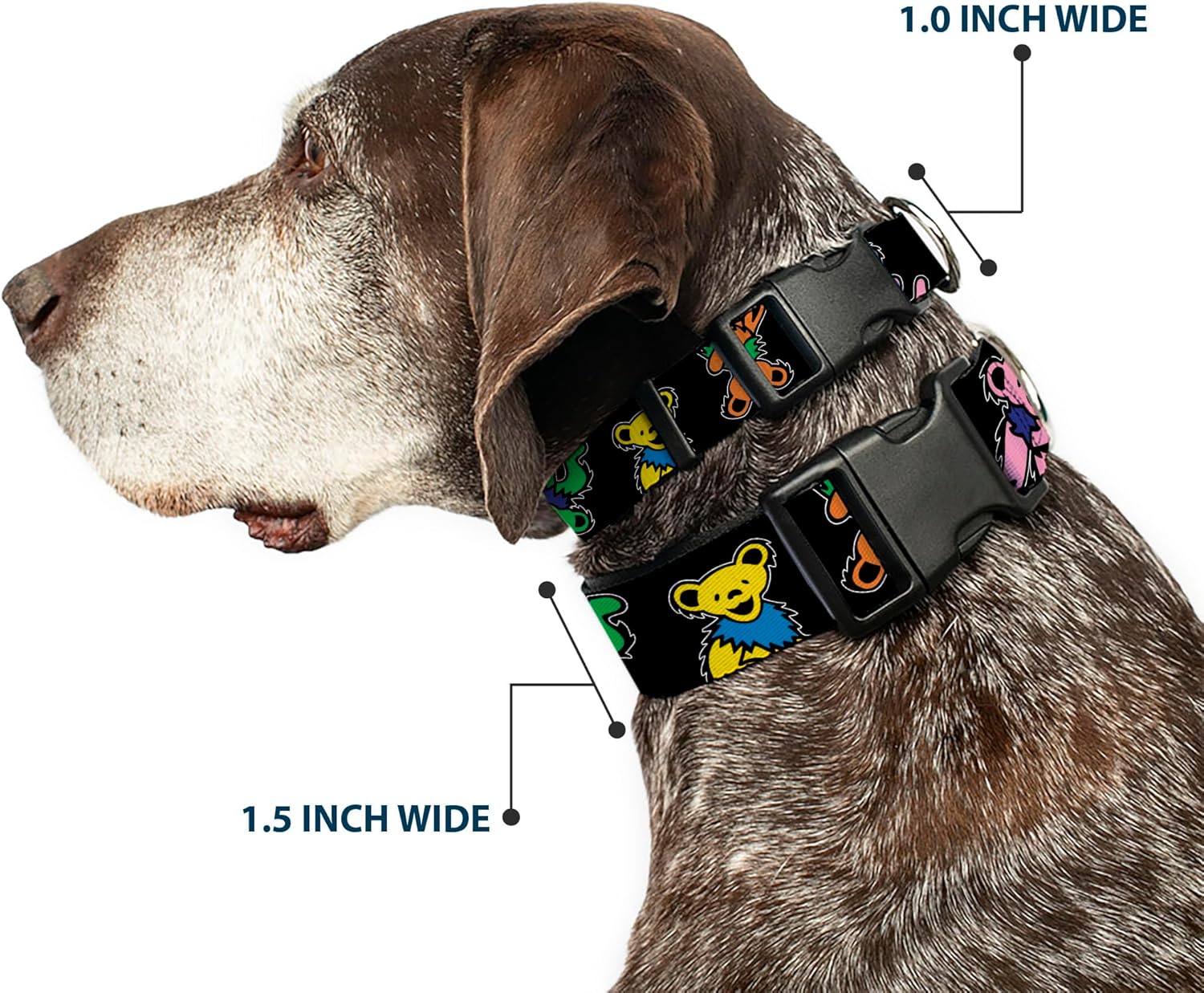 Grateful Dead Pet Collar, Dog Collar Plastic Buckle, Grateful Dead Dancing Bears Close Up Black Multi Color, 16 to 23 Inches 1.5 Inch Wide