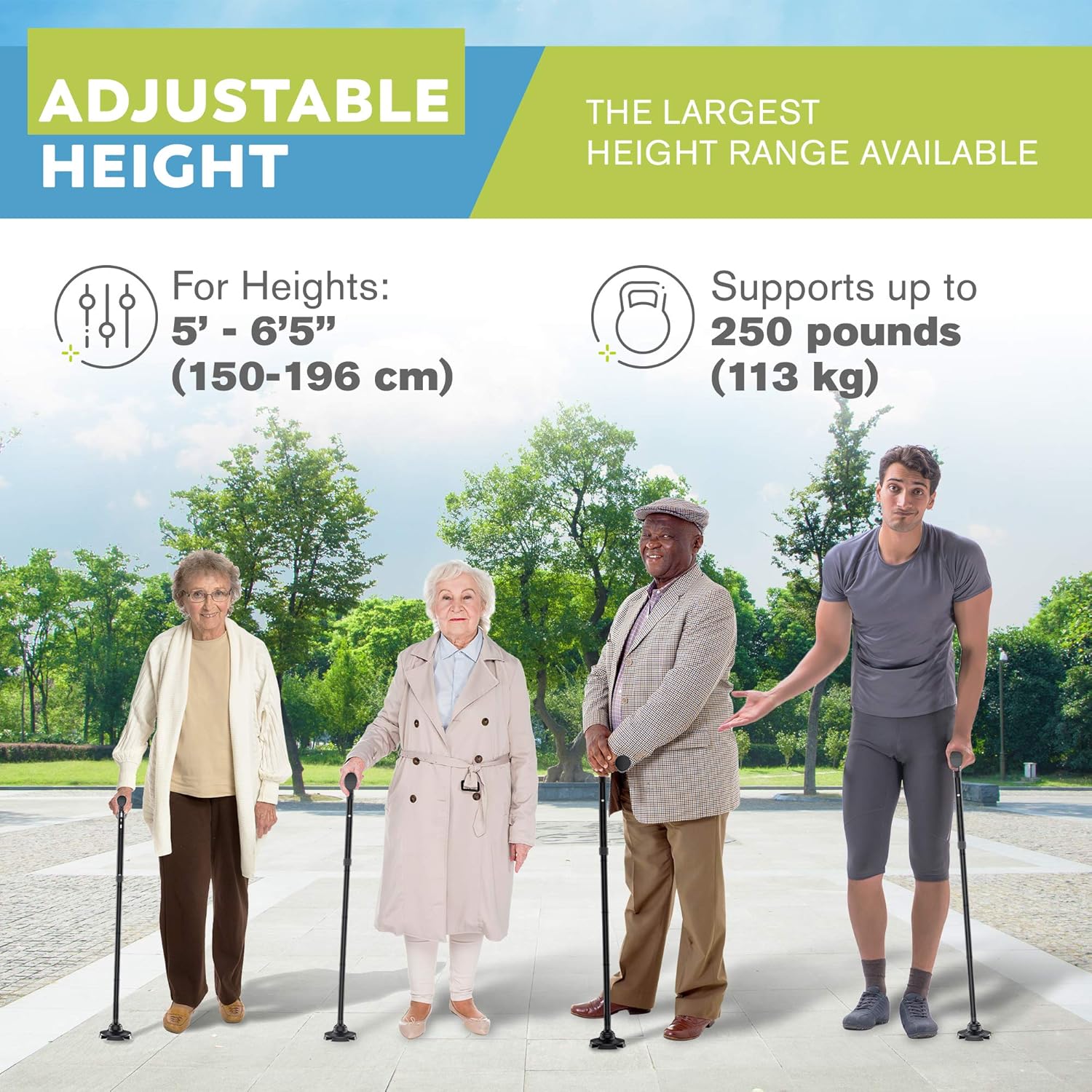 HONEYBULL Walking Cane for Men & Women - Free Standing Cane, Foldable, Pivot Tip, Heavy Duty, with Travel Bag | Walking Sticks, Canes for Seniors & Adults [Black] : Health & Household
