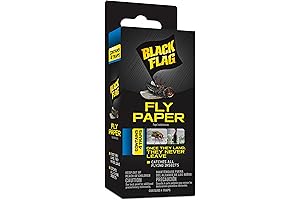 Black Flag Fly Paper