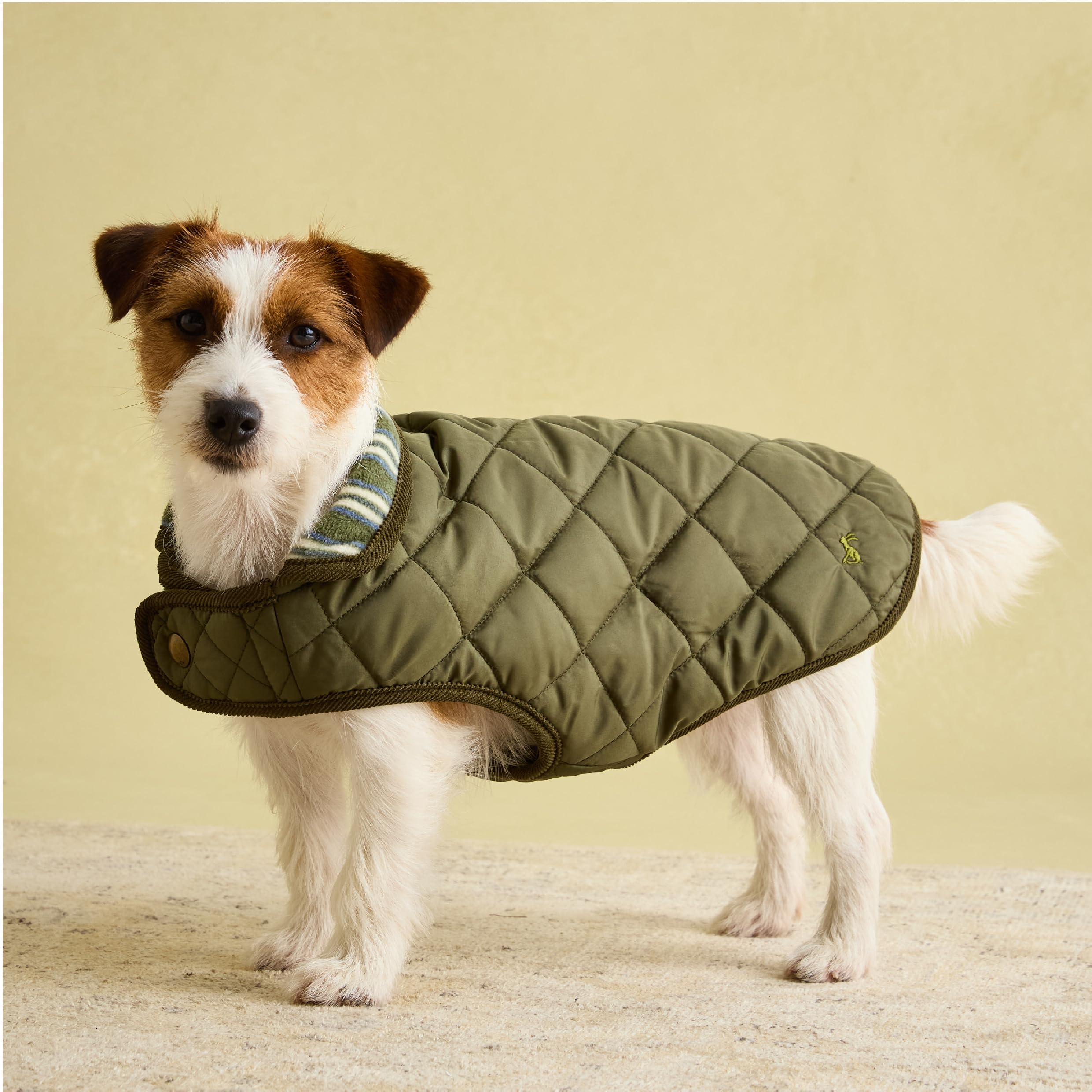 Rosewood x Joules Khaki Quilted Coat for Dogs, Small, Washable, Lightweight, Warm Winter Dog Jacket for Small Dogs