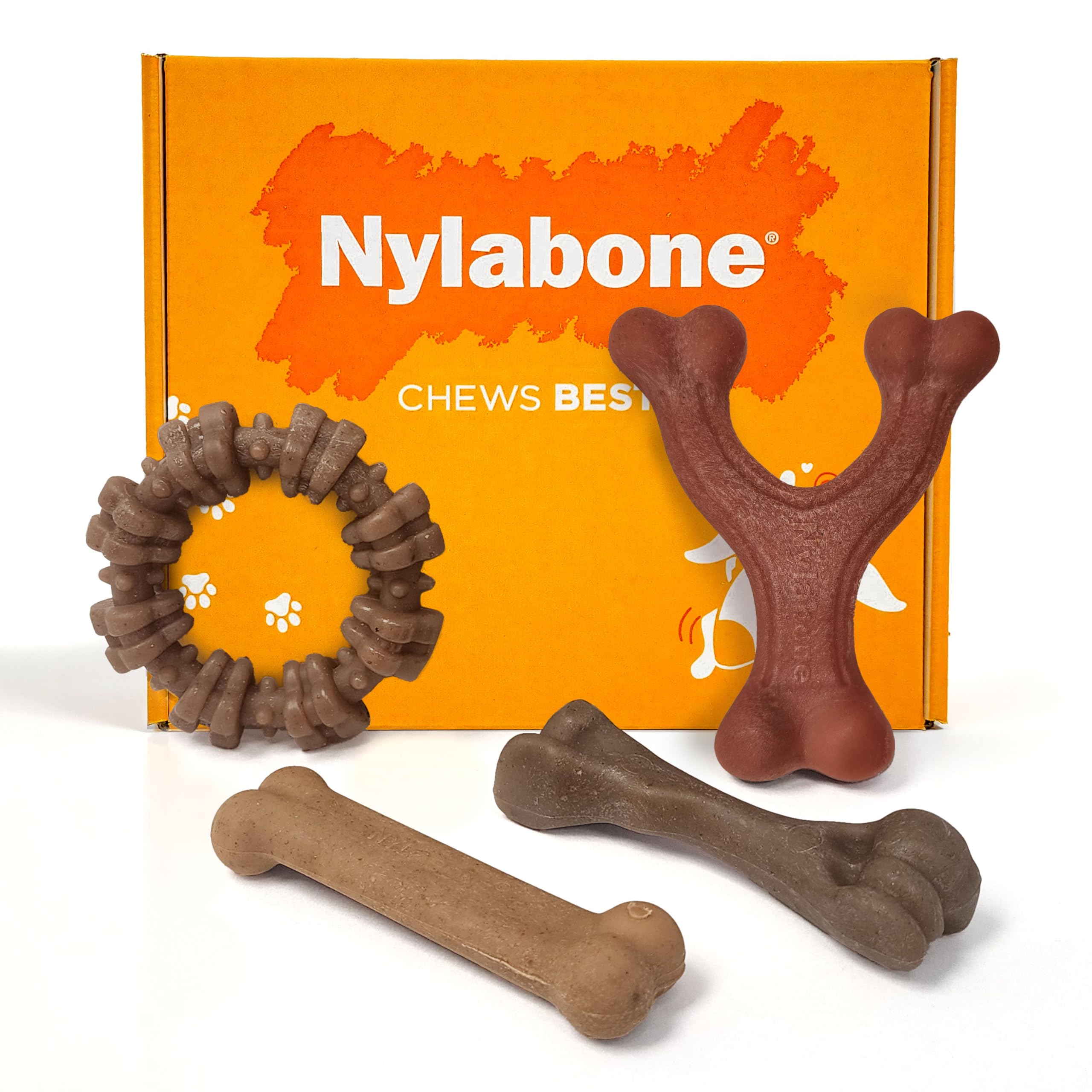 Nylabone Strong Chew Toy 4-Pack Bundle for Dogs Made with Real Bacon, Bison, Venison, Beef, & Chicken, Durable Dog Chew Bones for Aggressive Chewers, Small Dog Toys - Up to 25 lbs, 4 Count