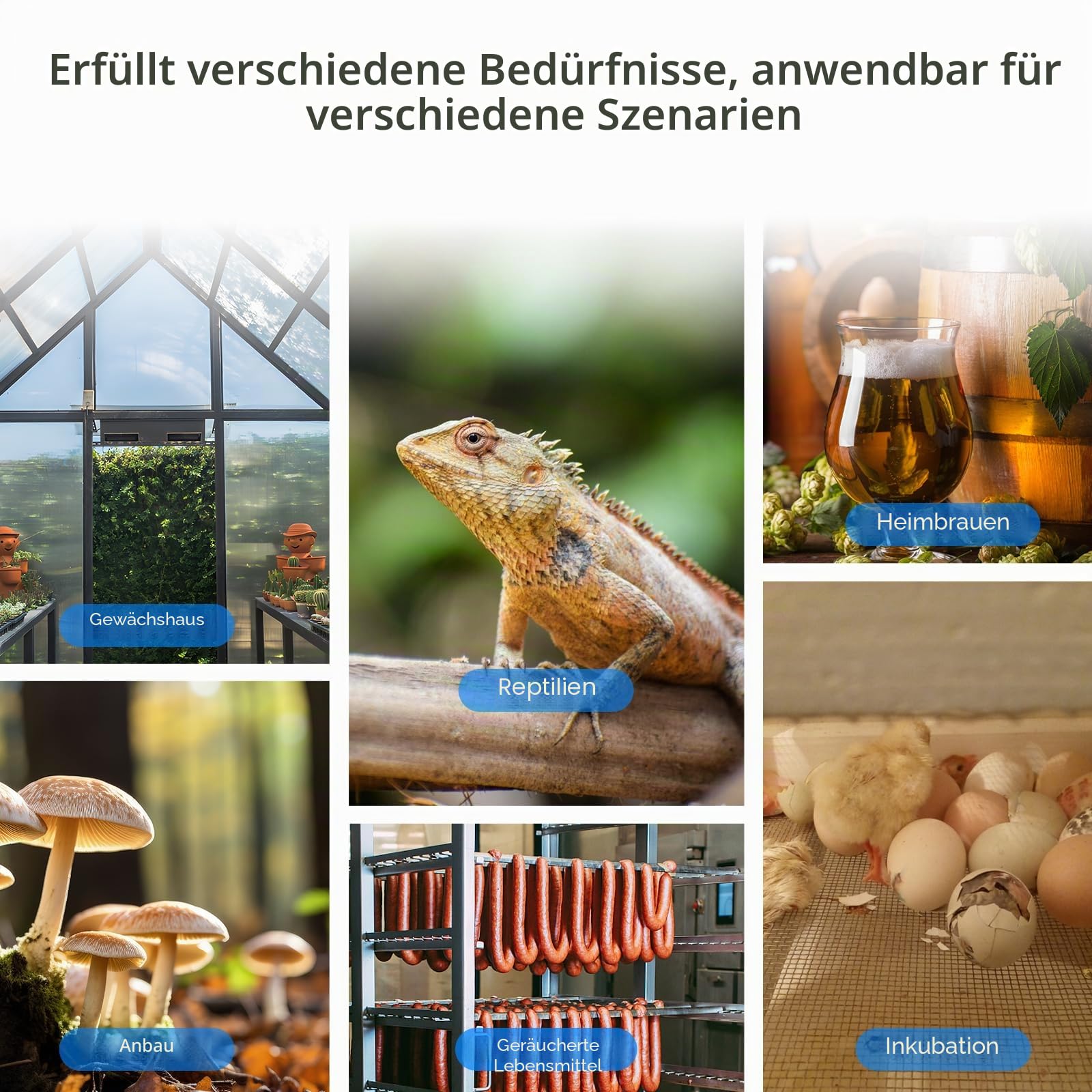 Inkbird IHC-200 Feuchtigkeitsregler 220V Play und Plug Hygrostat,Luftbefeuchter Luftentfeuchter für Pilz Gewächshaus Terrarium