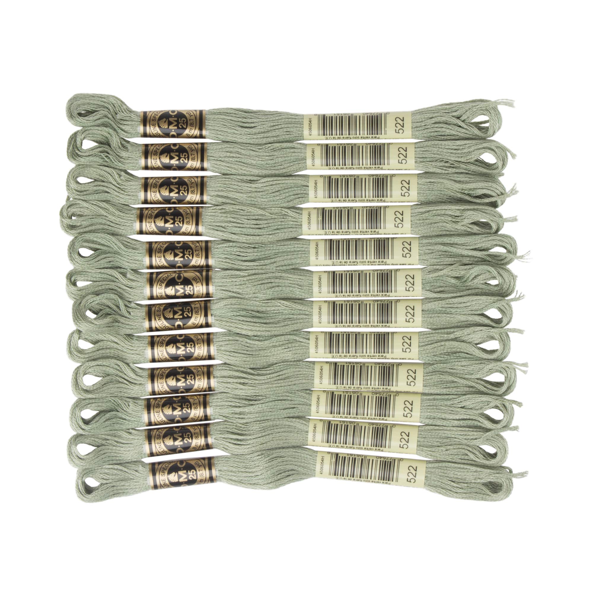DMC 6-Strand Embroidery Cotton Floss, Fern Green
