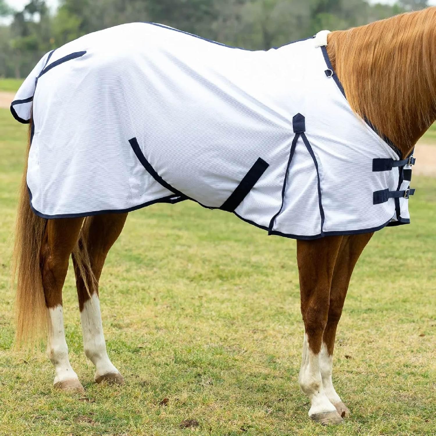 Reinsman Fly Sheet - Lightweight Breathable Ventilated Non-Slip Standard Neck Summer Mesh Sheet for Horses, White - 81"