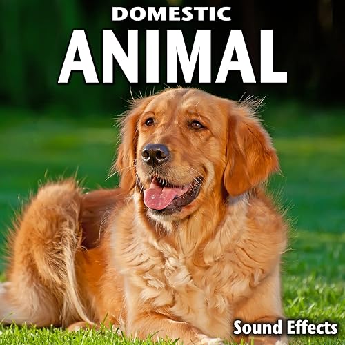 Two Dogs Barking At Night Outside By Sound Ideas On Amazon Music