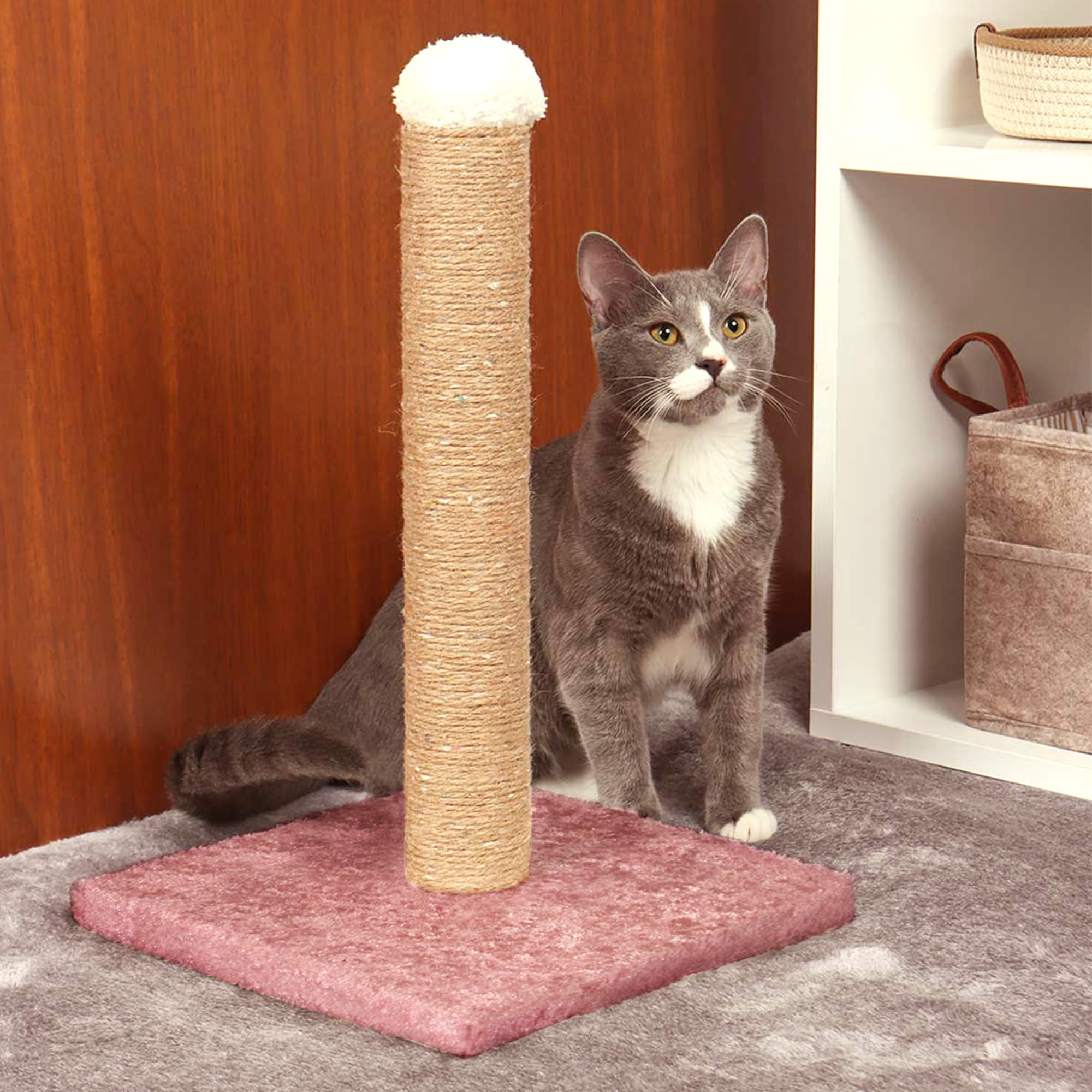 Kedi Tırmalama Tahtası, Karışık Renk