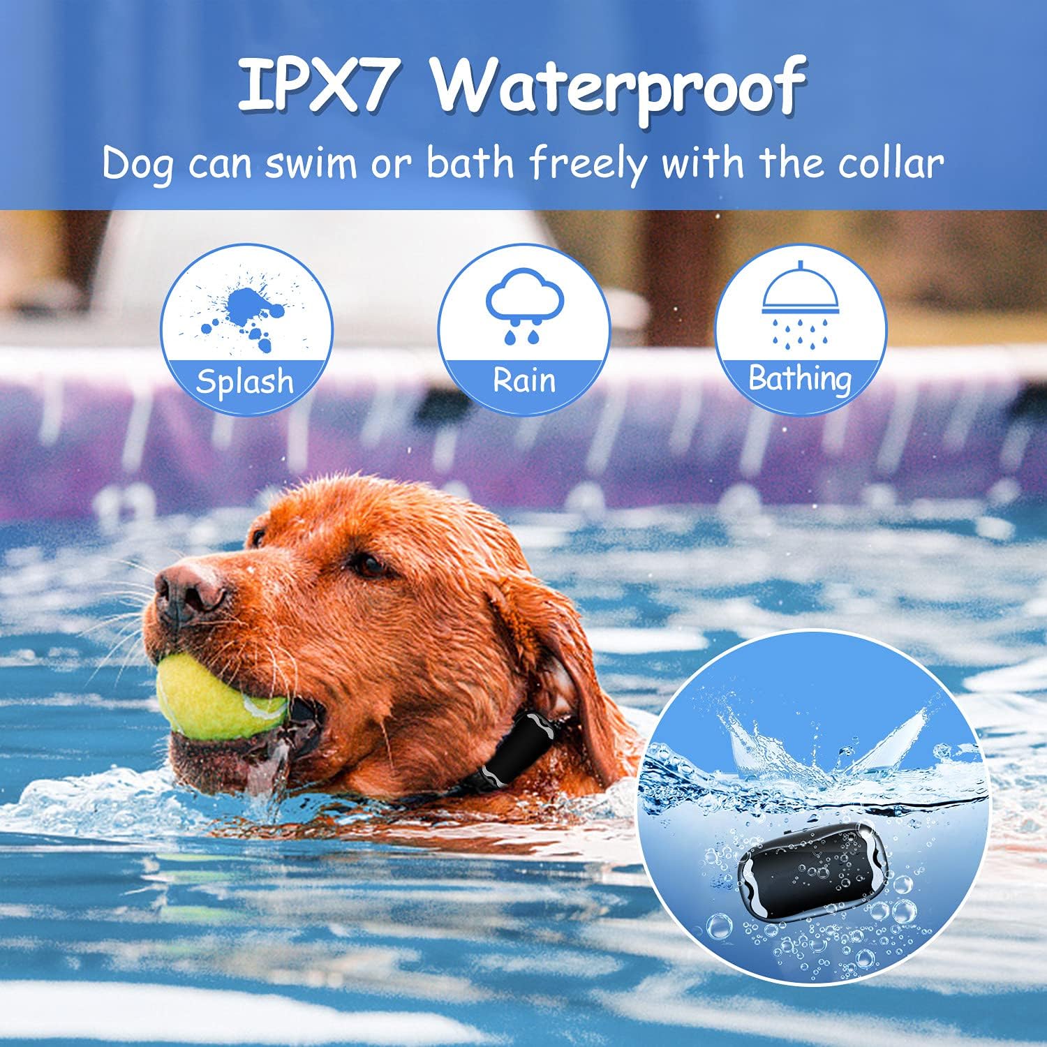 Dog swimming with the IPX7 waterproof training collar
