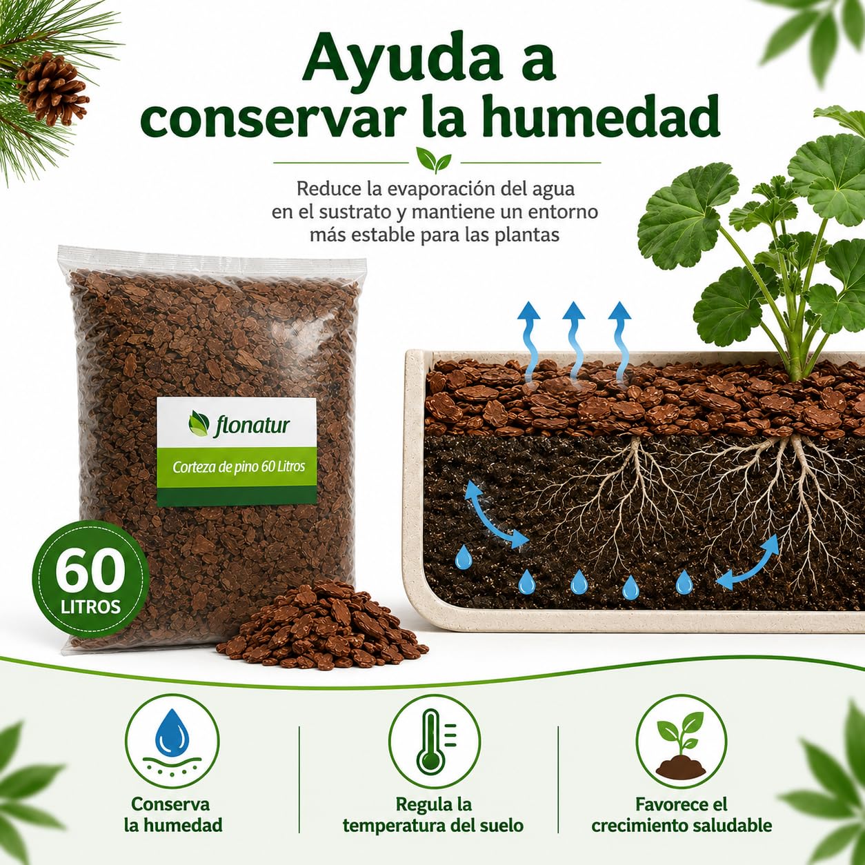 Corteza de Pino Decorativa 60 litros, Ideal para Macetas, Arriates, Plantas y Zonas de Jardín, Protege de Malas Hierbas y Reduce la Erosión