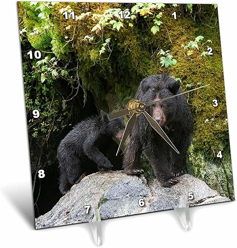 3dRose Black Bear cub Following its Mama at ANAN Creek. - Desk Clocks (dc-380596-1)