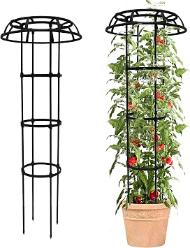 Quibbay 53 Inch Mushroom Top Garden Trellis for Climbing Plants, 1 Pack