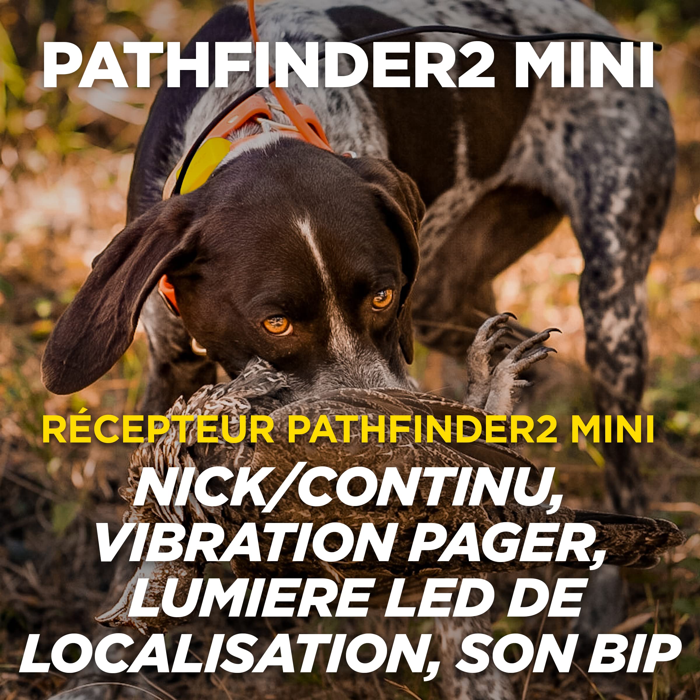Dogtra Pathfinder 2 Mini Collier de Repérage GPS & Dressage Rechargeable, Lumière LED, Application Gratuite et sans Abonnement, Étanche IPX9K, Fonctions de Dressage, Portée 5 km, Jusqu'à 21 Chien