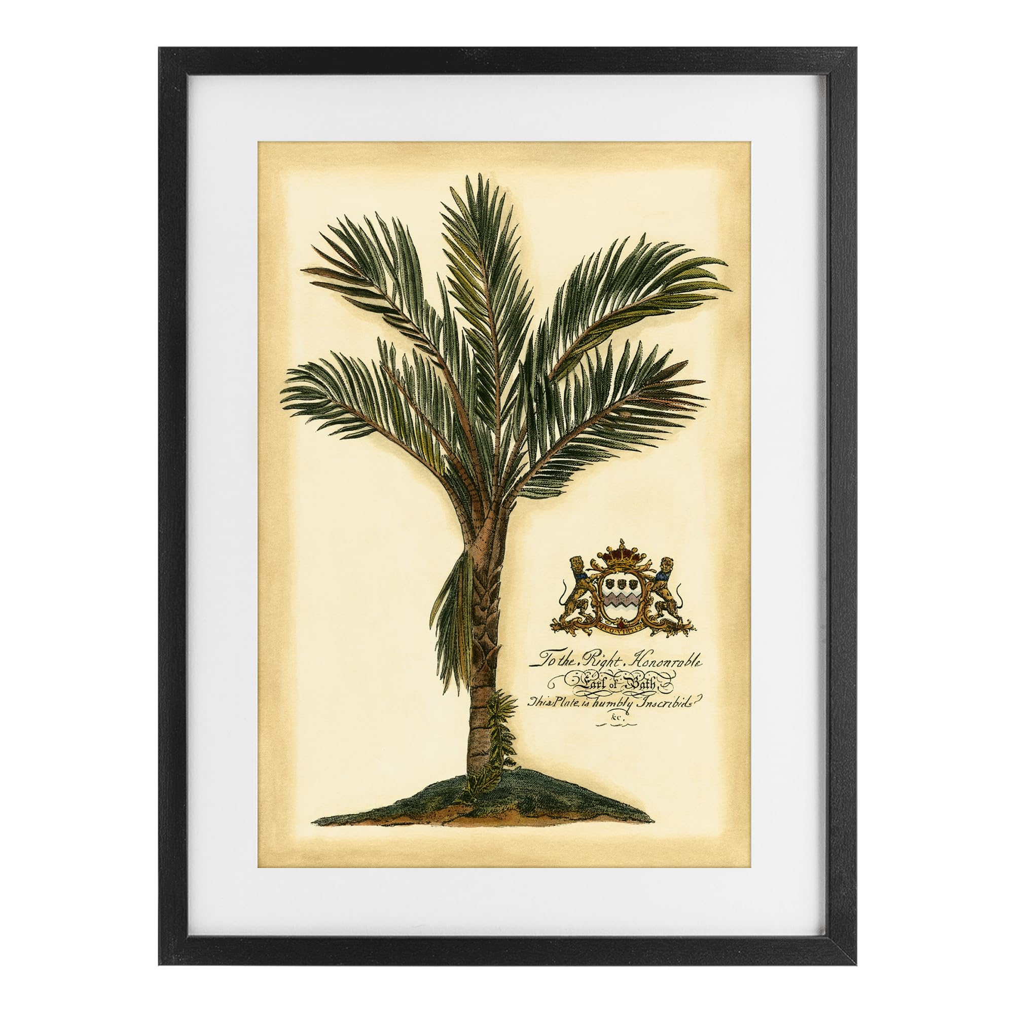 Stupell Industries Midnight Black (Textured) 'Vintage Colonial Palm'| Framed Print Under Glass