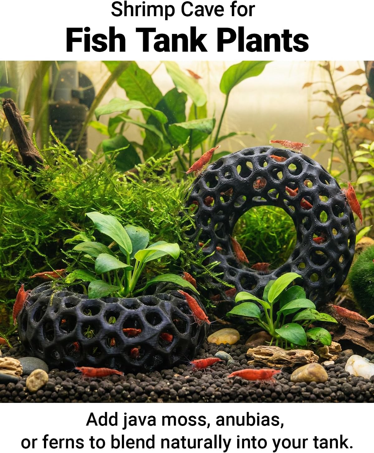 Shrimp Cave for Fish Tank Plants, 2-Pack Round Aquarium Caves for Cherry & Dwarf Shrimp, Plant-Compatible Shrimp Tank Accessories, Aquarium Decor (Black) image 2