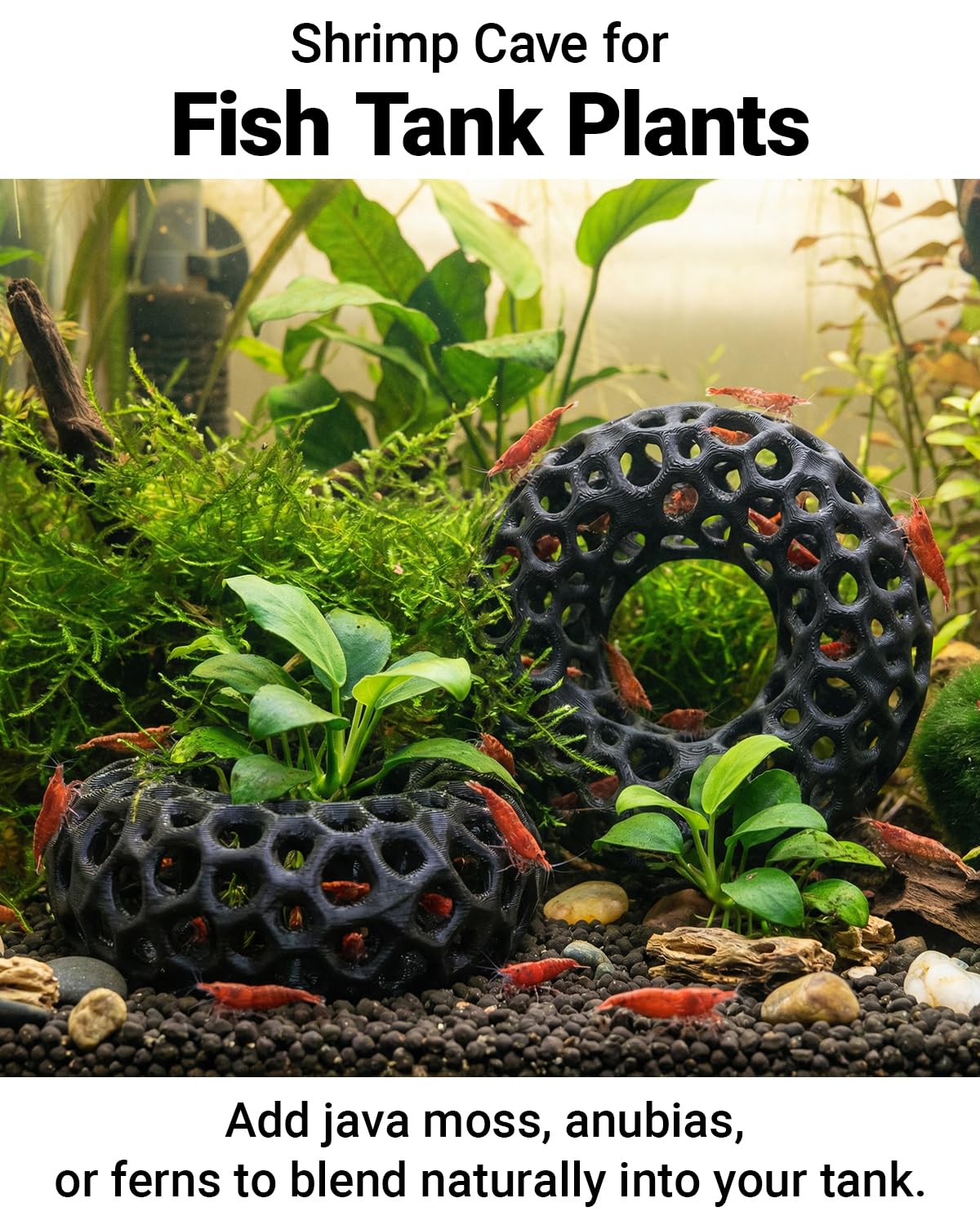 Cueva de camarones para plantas de pecera, paquete de 2 cuevas redondas para acuario para camarones cereza y enanos, accesorios compatibles con plantas, decoración de acuario (negro)